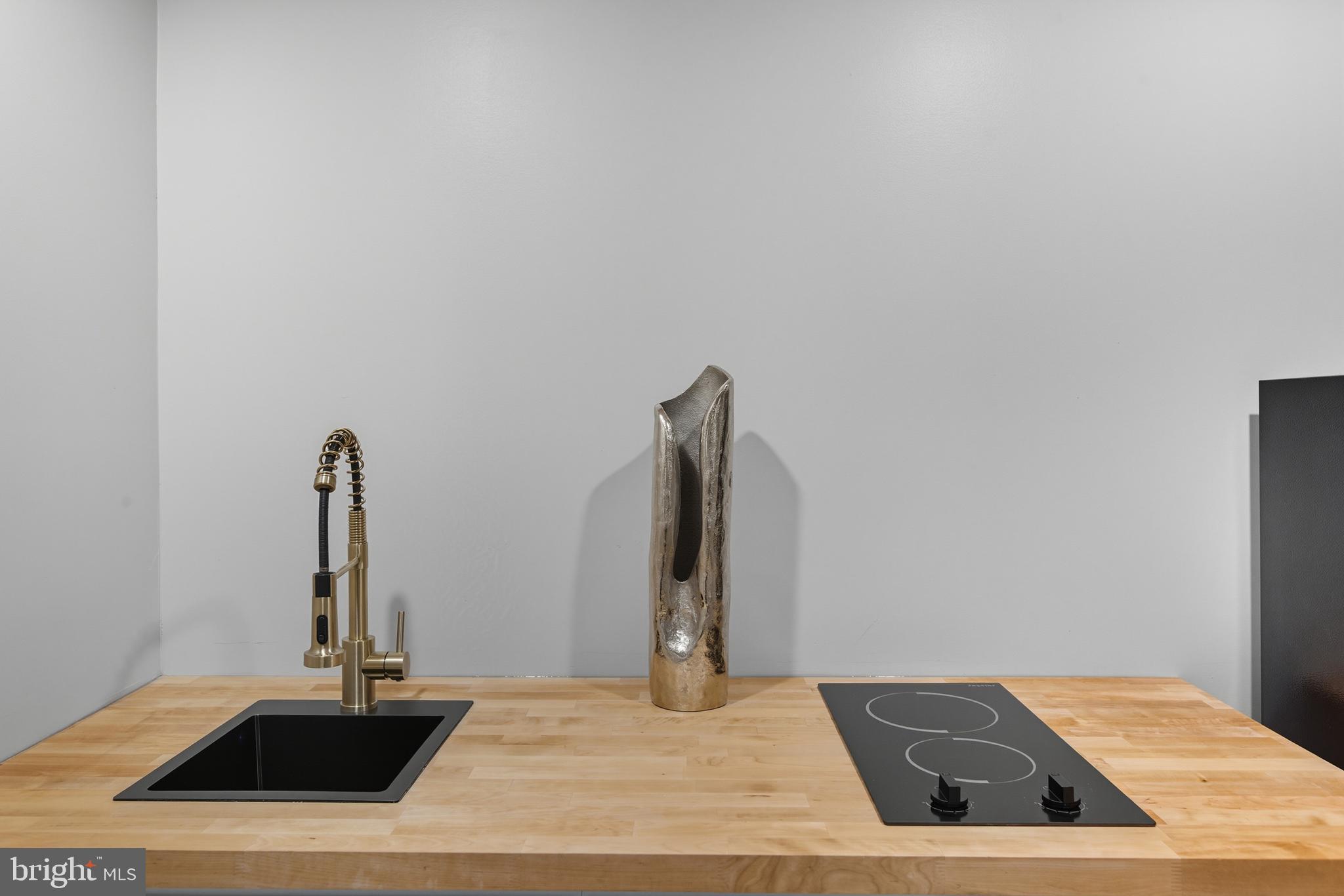 FORT WASHINGTON FOREST - Residential