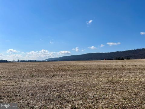 Tiny photo for 210 E Main Street, BURKITTSVILLE, MD 21718 (MLS # MDFR2077568)