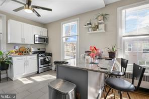 MANAYUNK - Residential Income