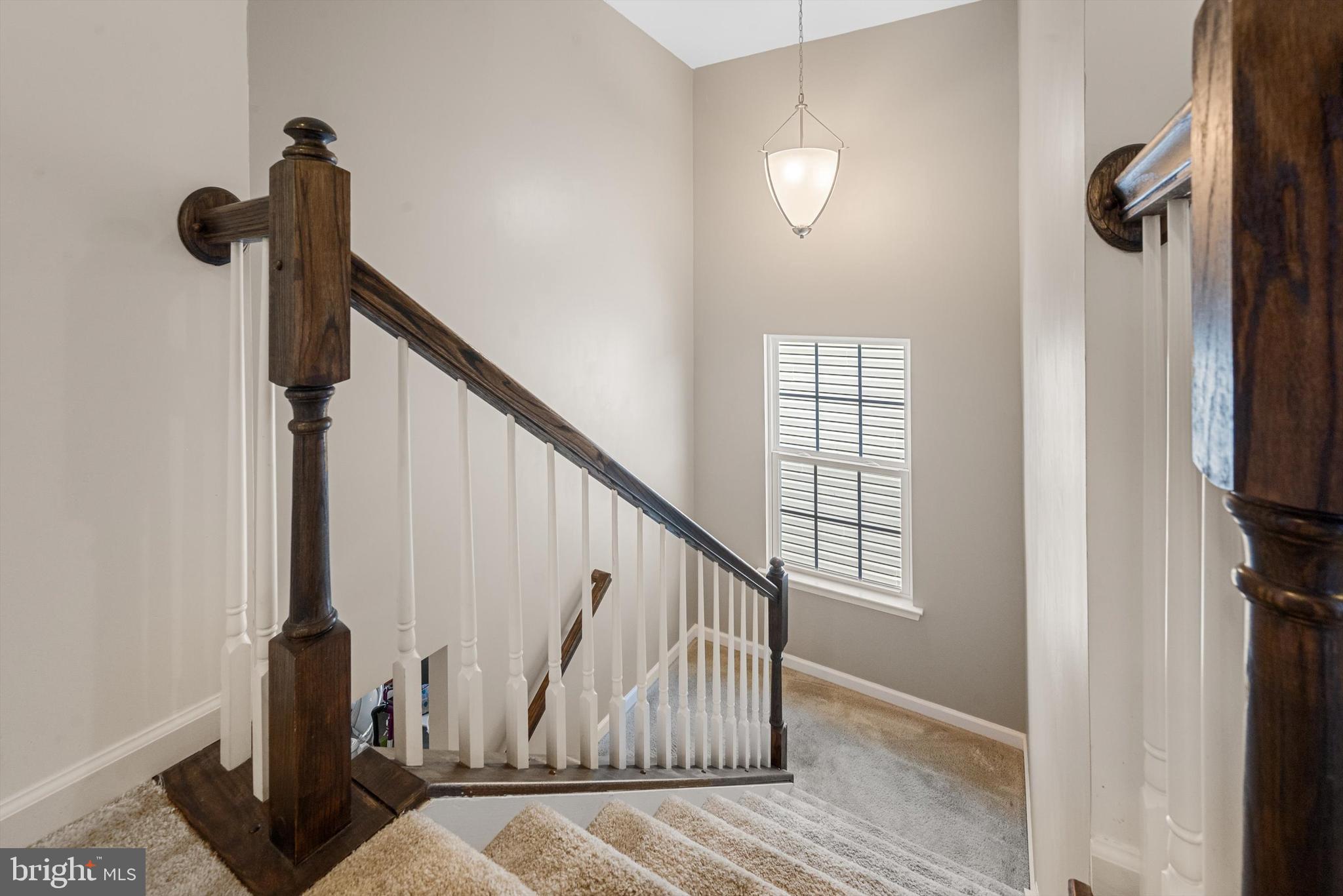 POTOMAC STATION - Residential