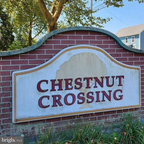 203 SASSAFRAS LANE MILTON DE 19968