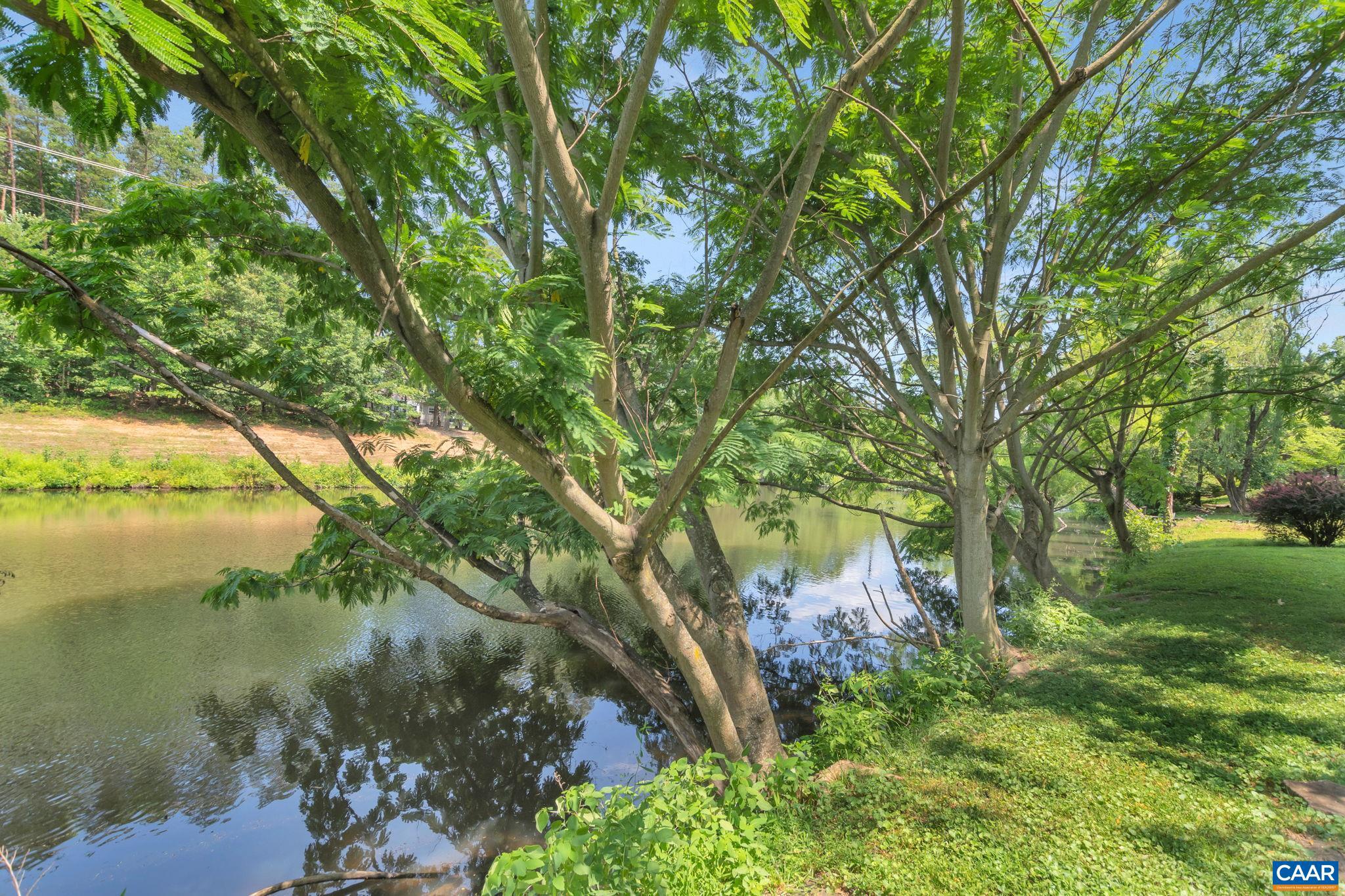 FOREST LAKES - Residential