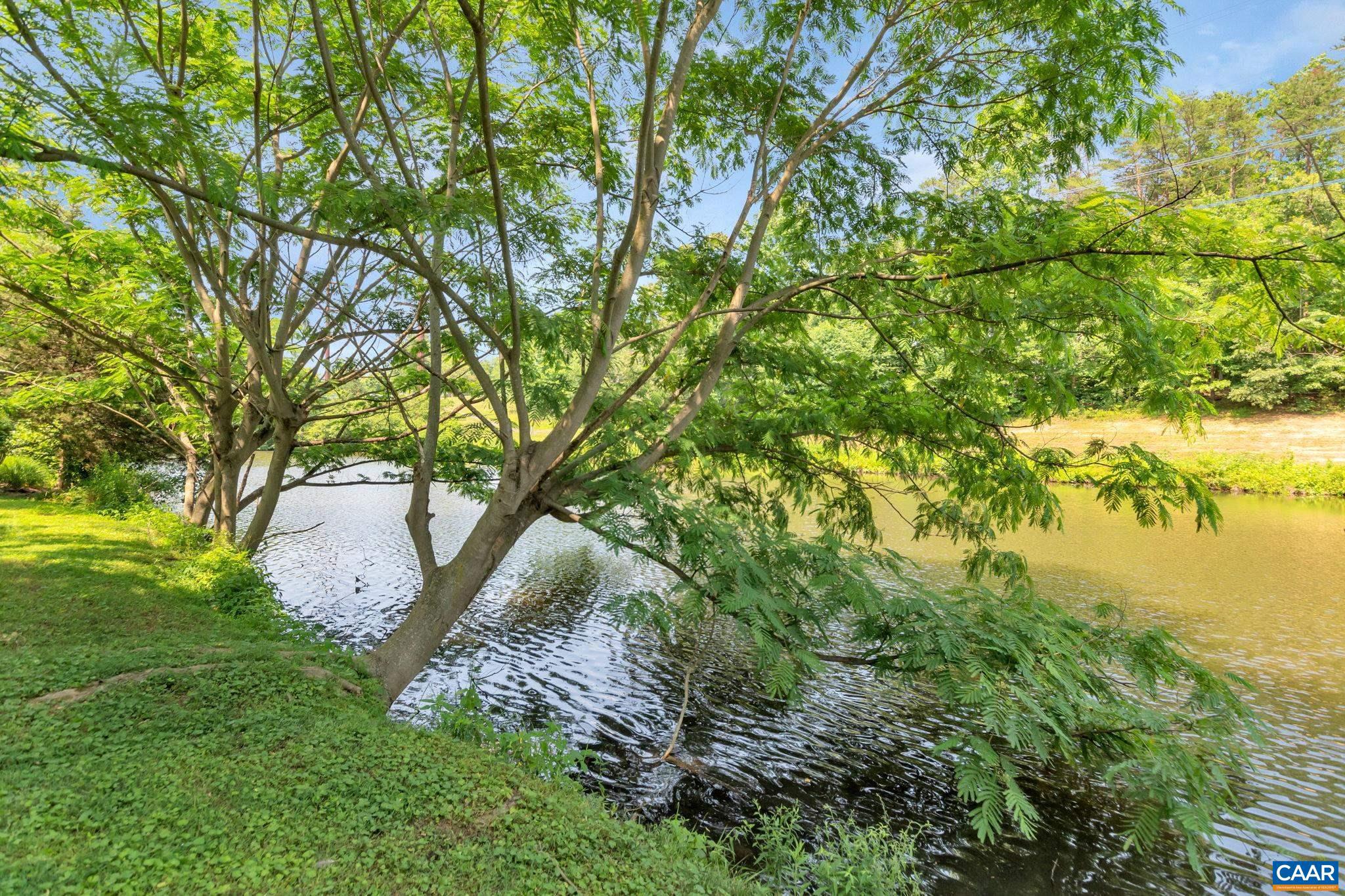 FOREST LAKES - Residential