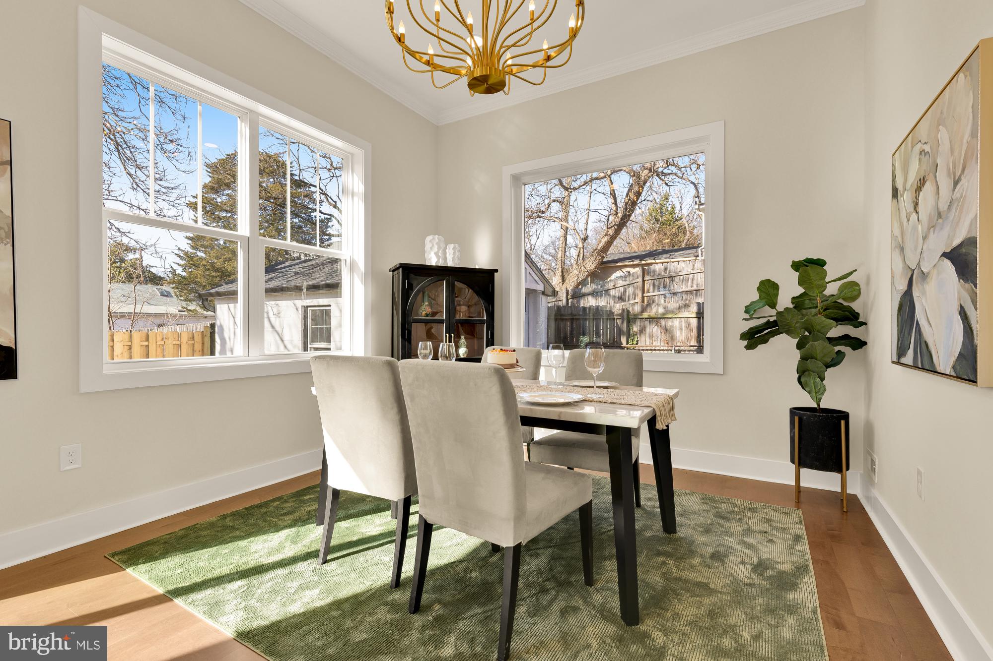 TAKOMA PARK - Residential