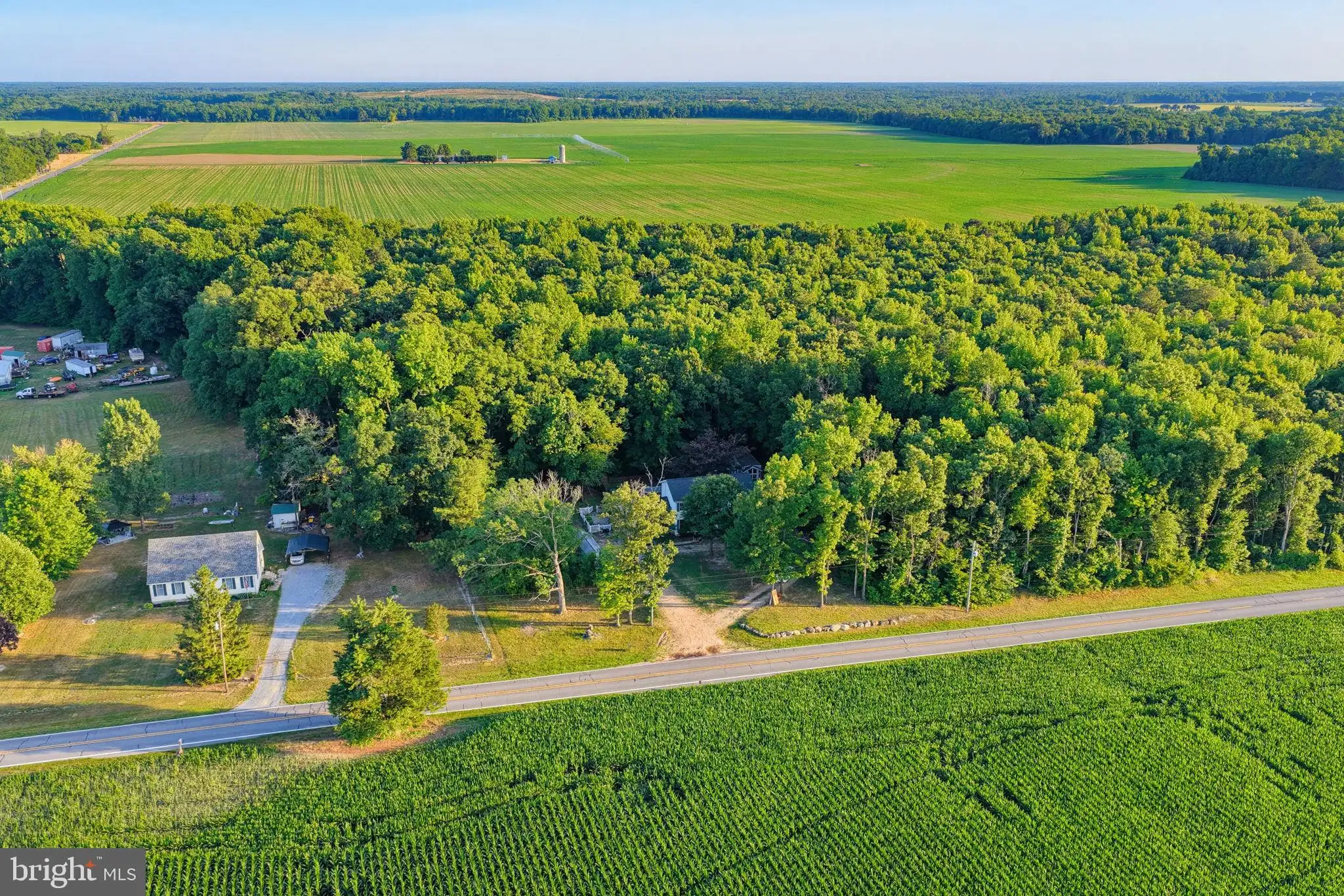 Additional image 38 of 1558 Mud Mill Road, Marydel, DE 19964