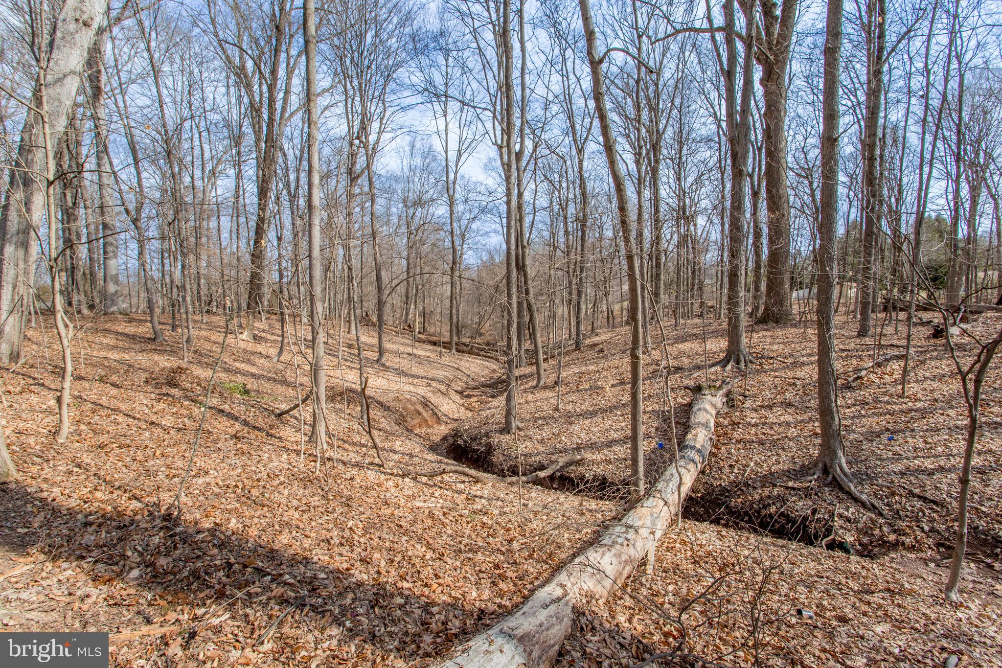 JERICHO VALLEY - Residential