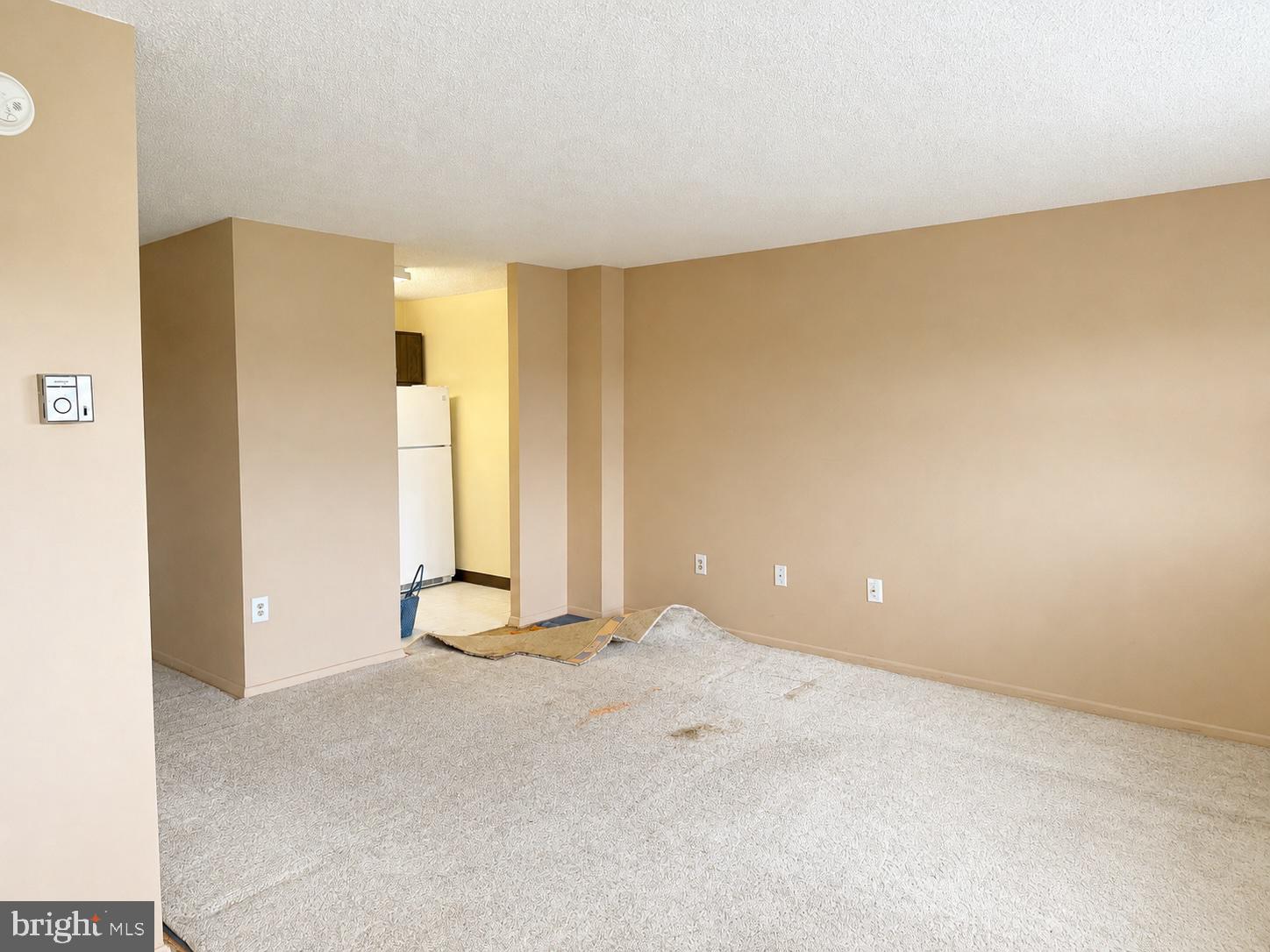 1225 MARTHA CUSTIS DRIVE 1503
