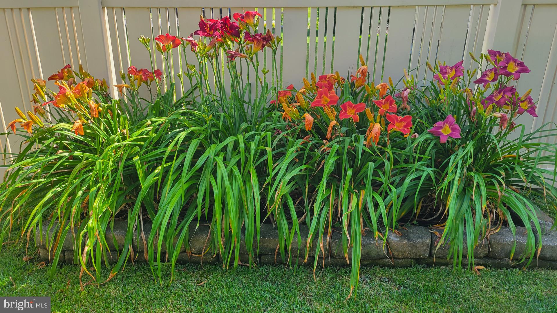 SADDLEBROOK WEST - Residential