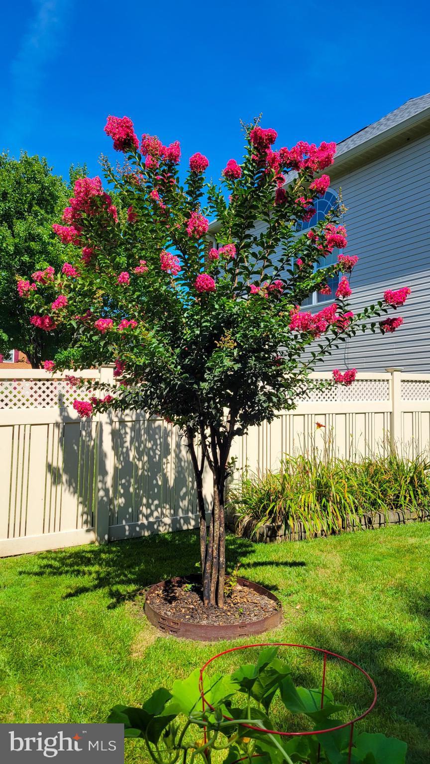 SADDLEBROOK WEST - Residential