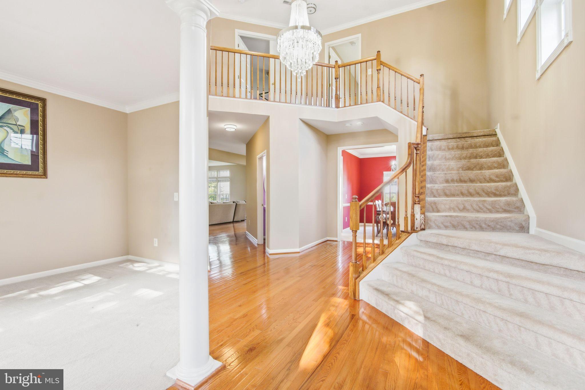 6837 RATHBONE PLACE