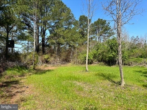 Vacant Land For Sale - Bryan Hall Road<br/> Somerset County, MARION STATION, MD 21838