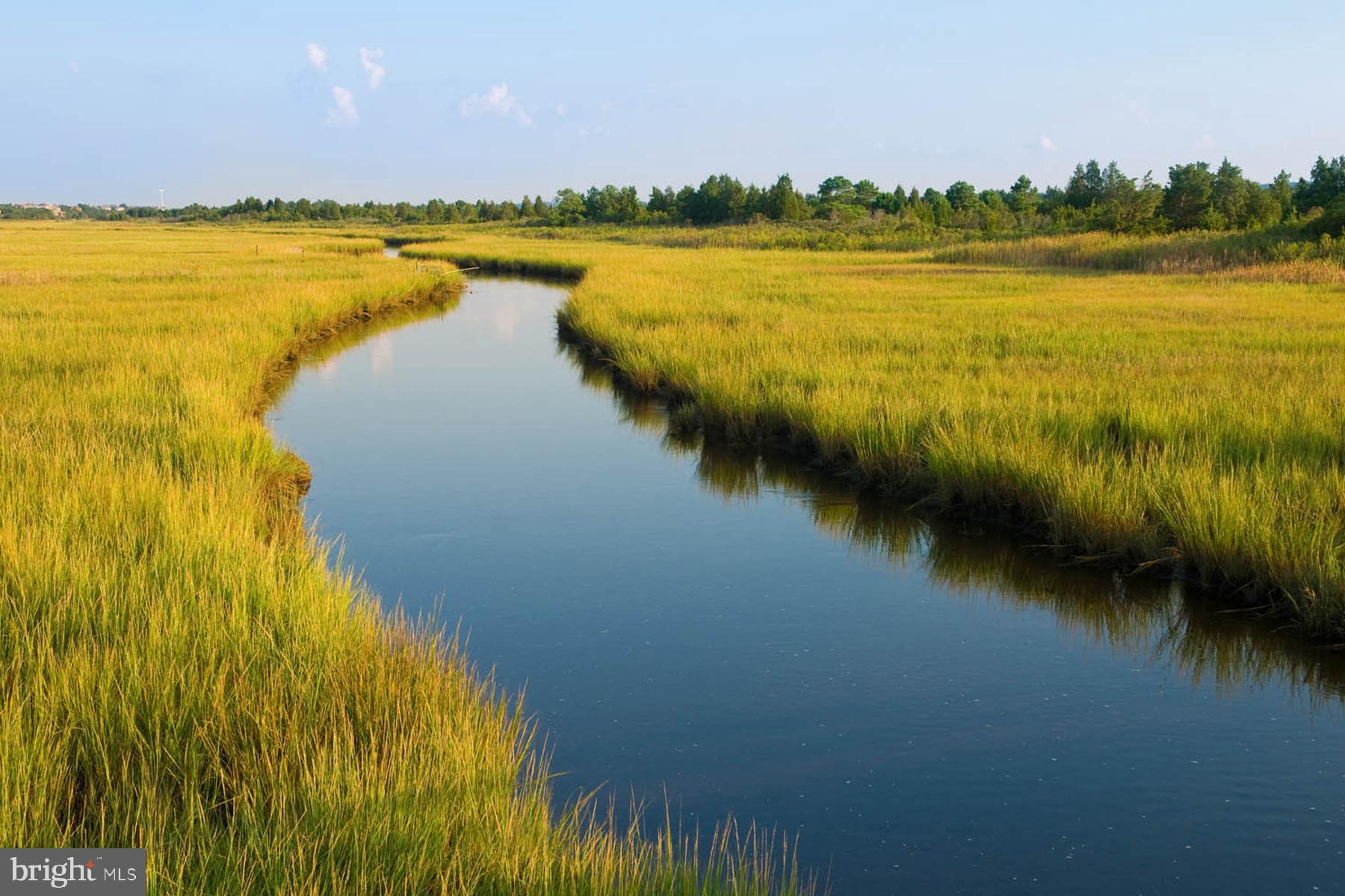 BACK BAY COVE - Residential