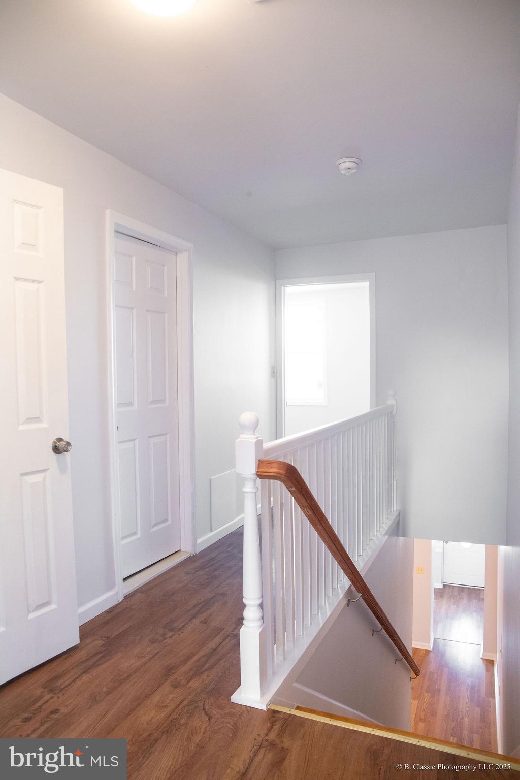 BELVEDERE - Residential