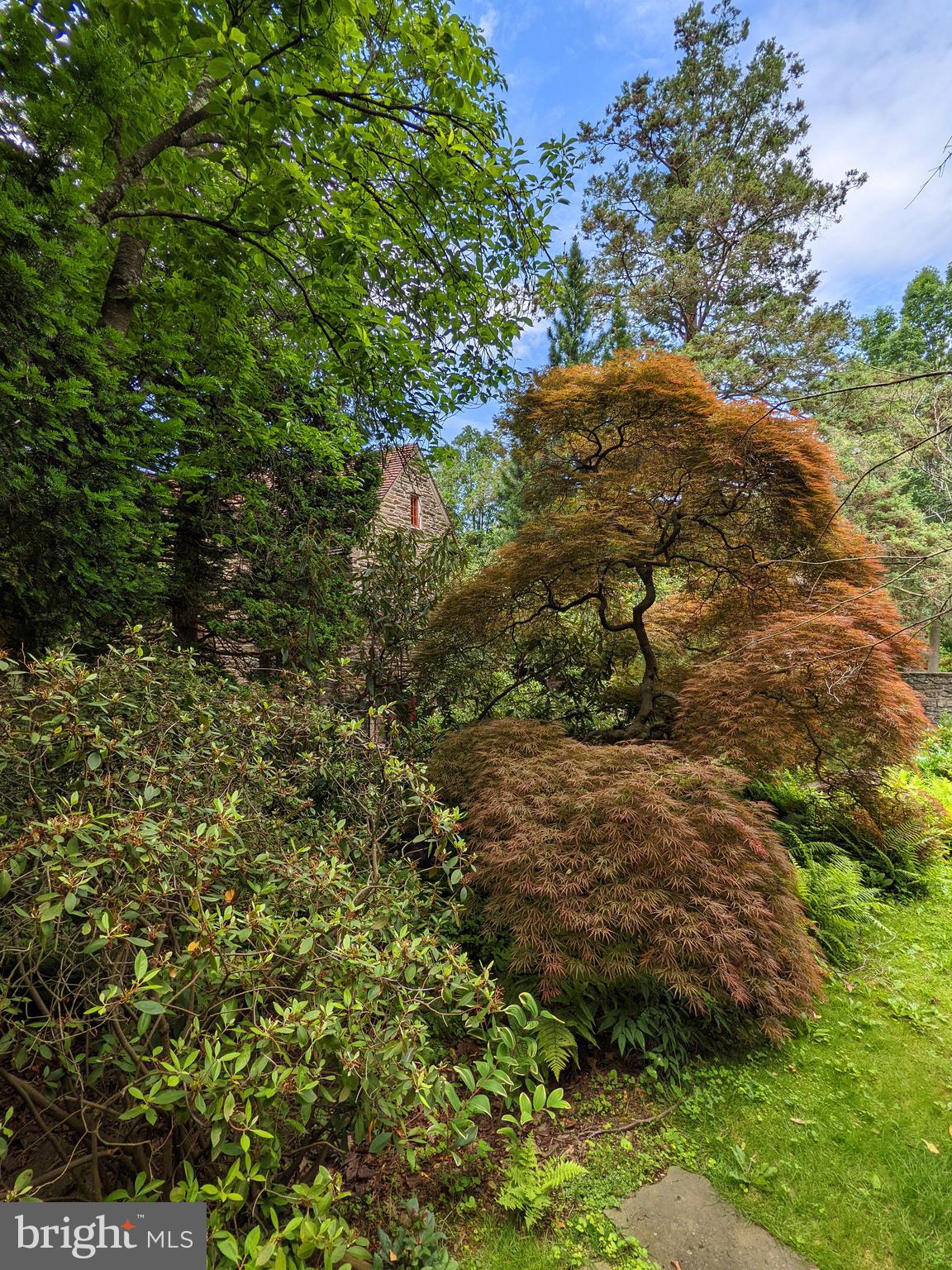 CHESTNUT HILL - Residential