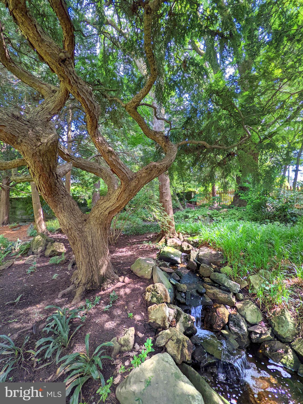 CHESTNUT HILL - Residential