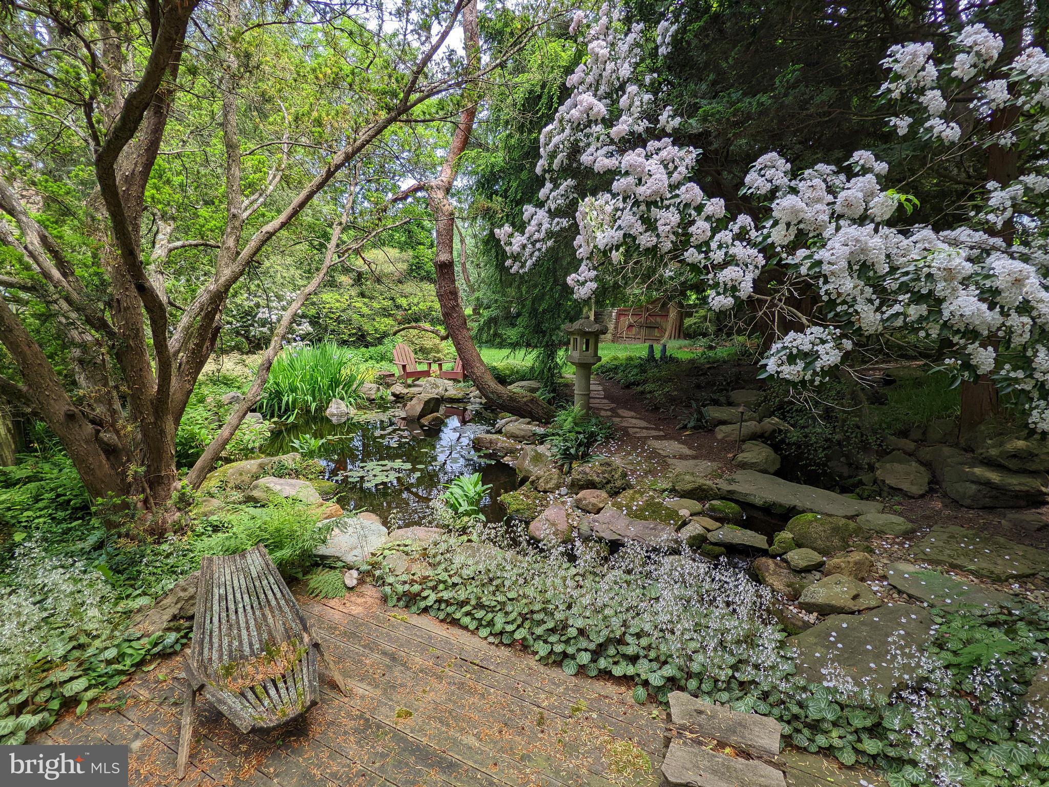 CHESTNUT HILL - Residential