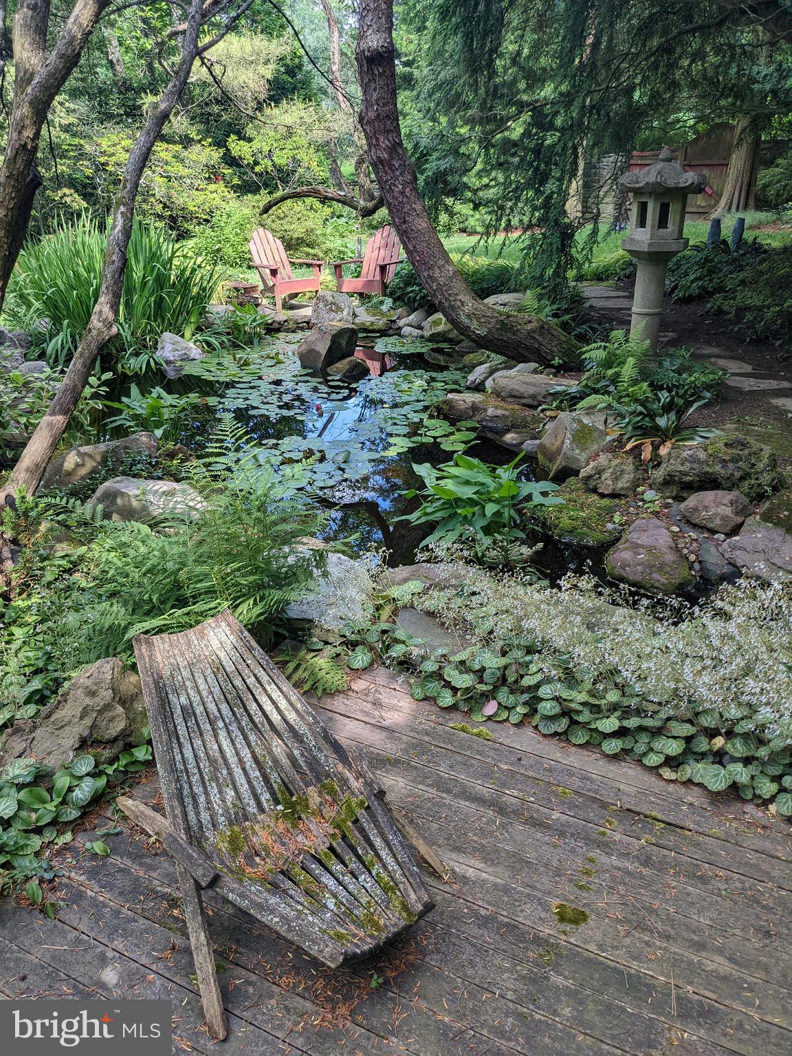 CHESTNUT HILL - Residential