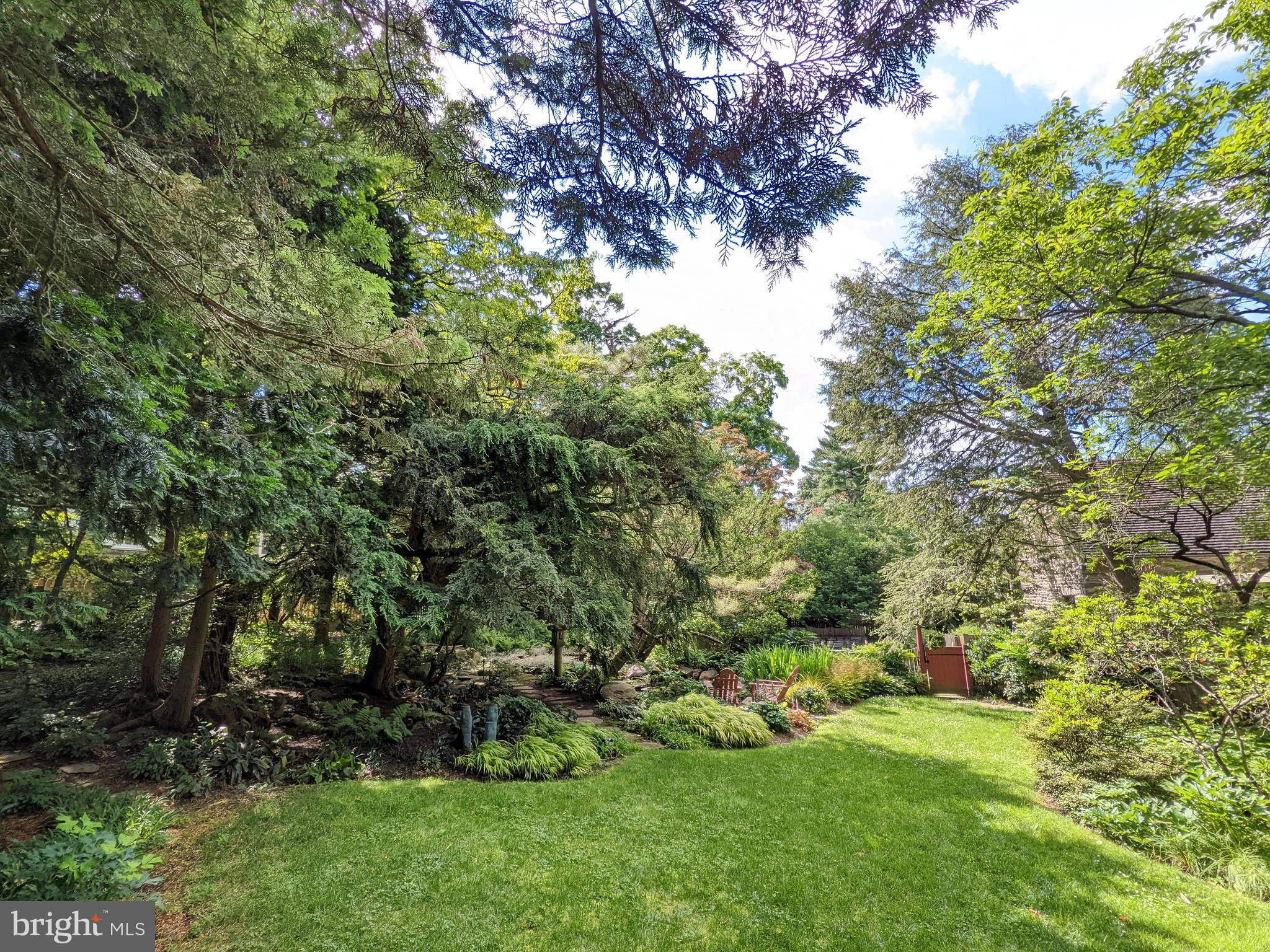 CHESTNUT HILL - Residential