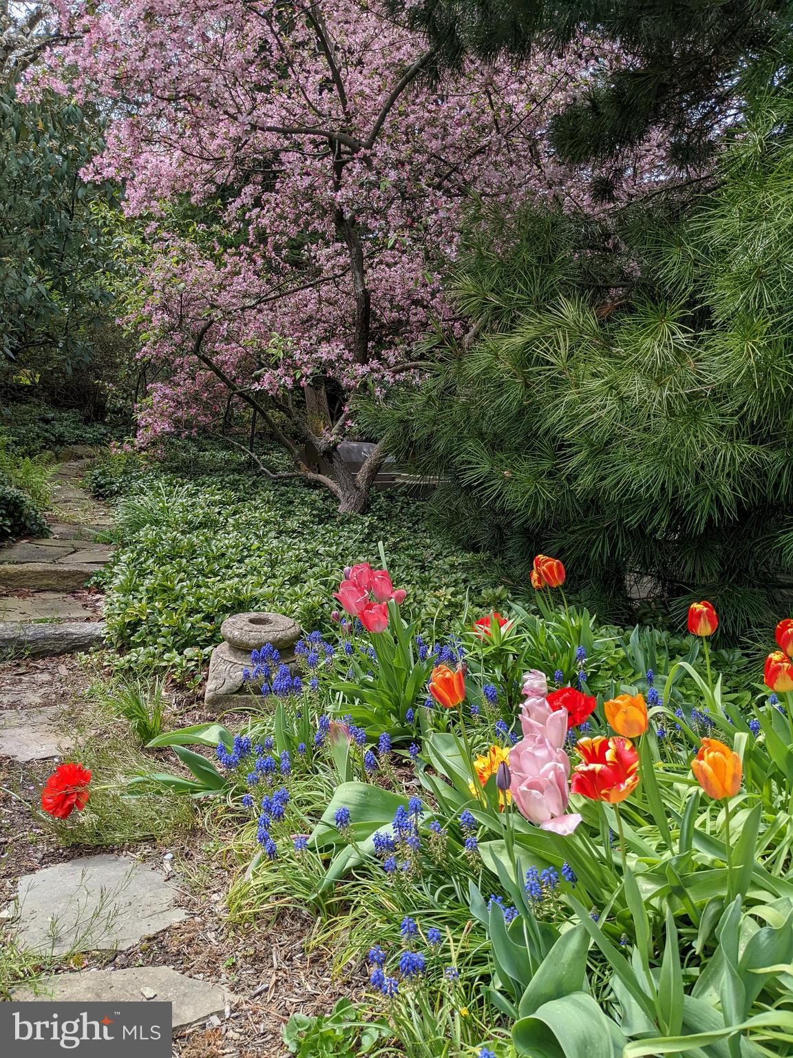 CHESTNUT HILL - Residential