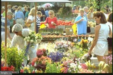 HARBOR TERRACE - Residential Lease