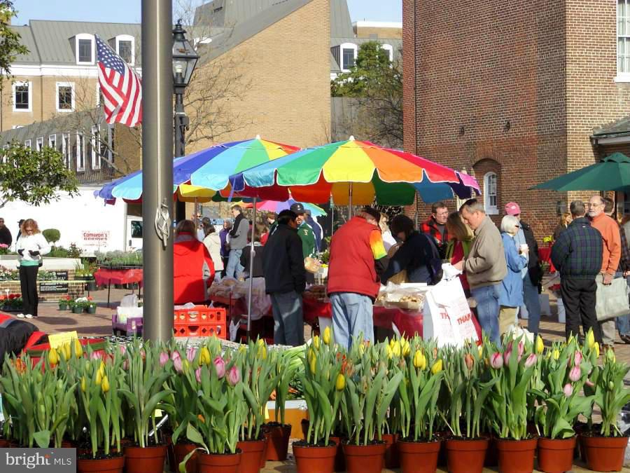 CARLYLE - Residential Lease