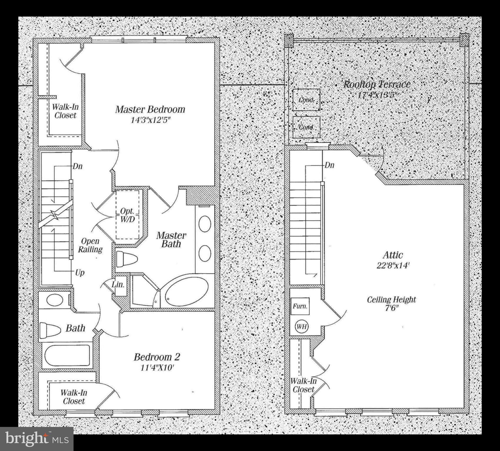 CARLYLE - Residential Lease