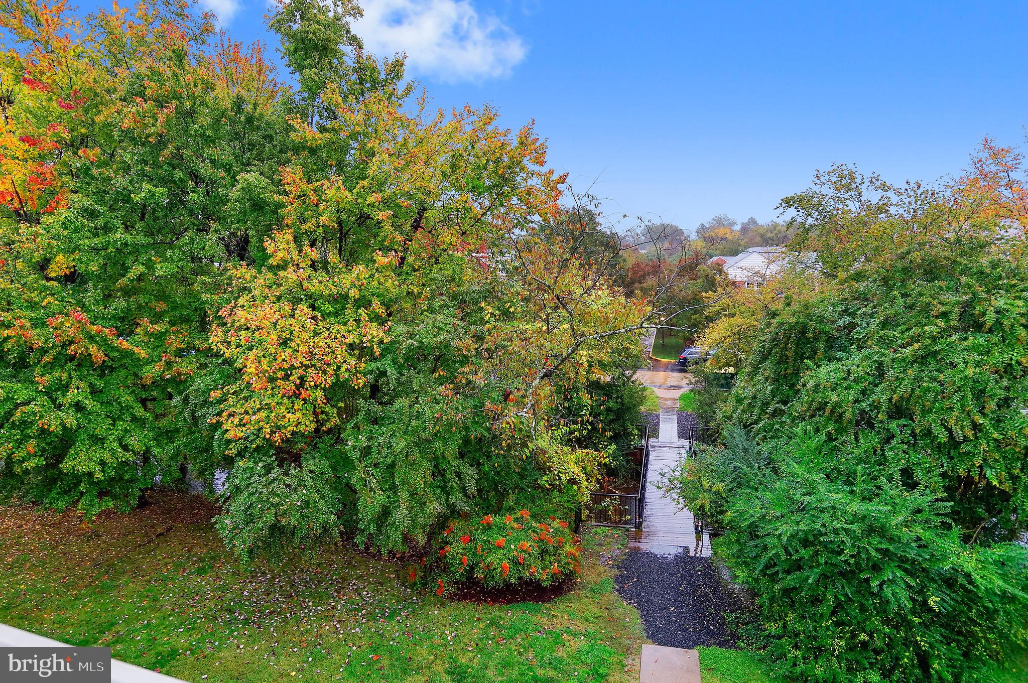 BELLE VIEW - Residential