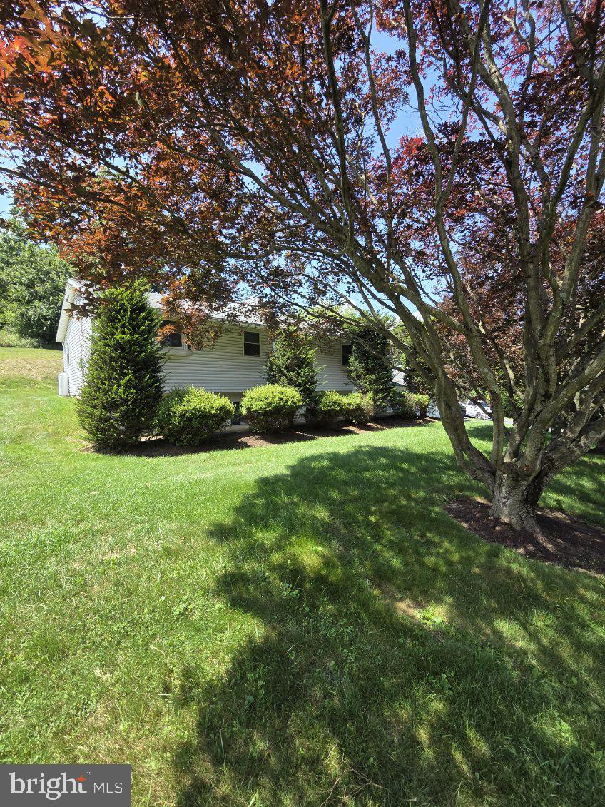 7620 SPRING ROAD