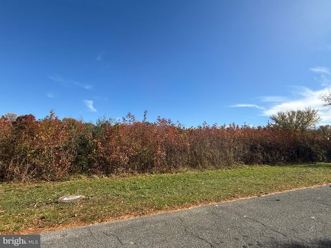 Vacant Land For Sale - Quinton Alloway Road<br/> SALEM, NJ 08079