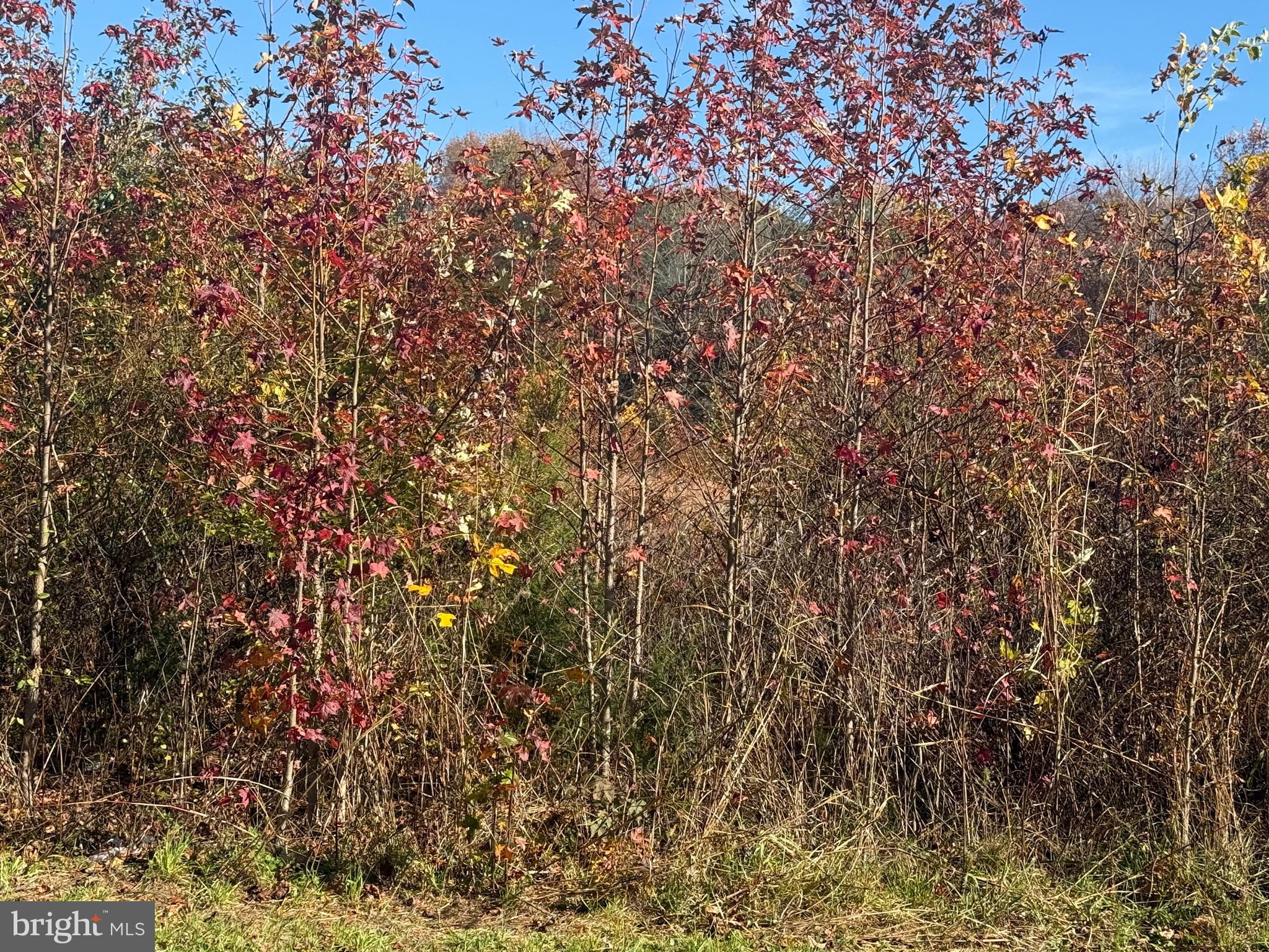 QUINTON ALLOWAY ROAD