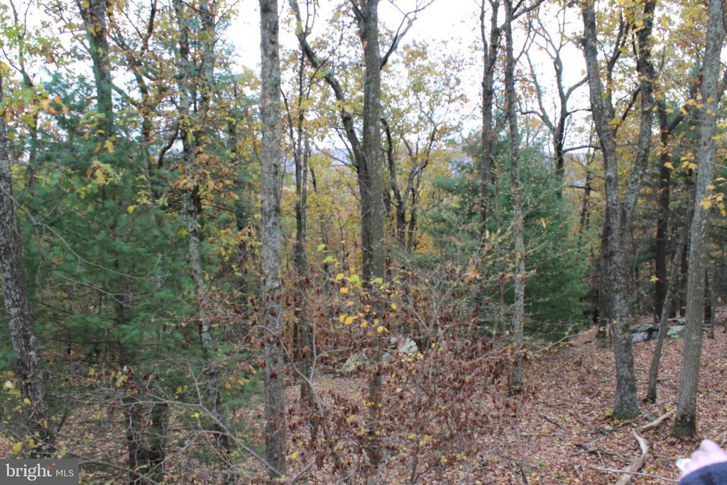 Photo of 55 Scarlet Way, BIGLERVILLE, PA 17307 (MLS # PAAD2020528)