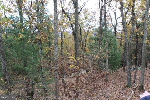 55 SCARLET WAY BIGLERVILLE PA 17307