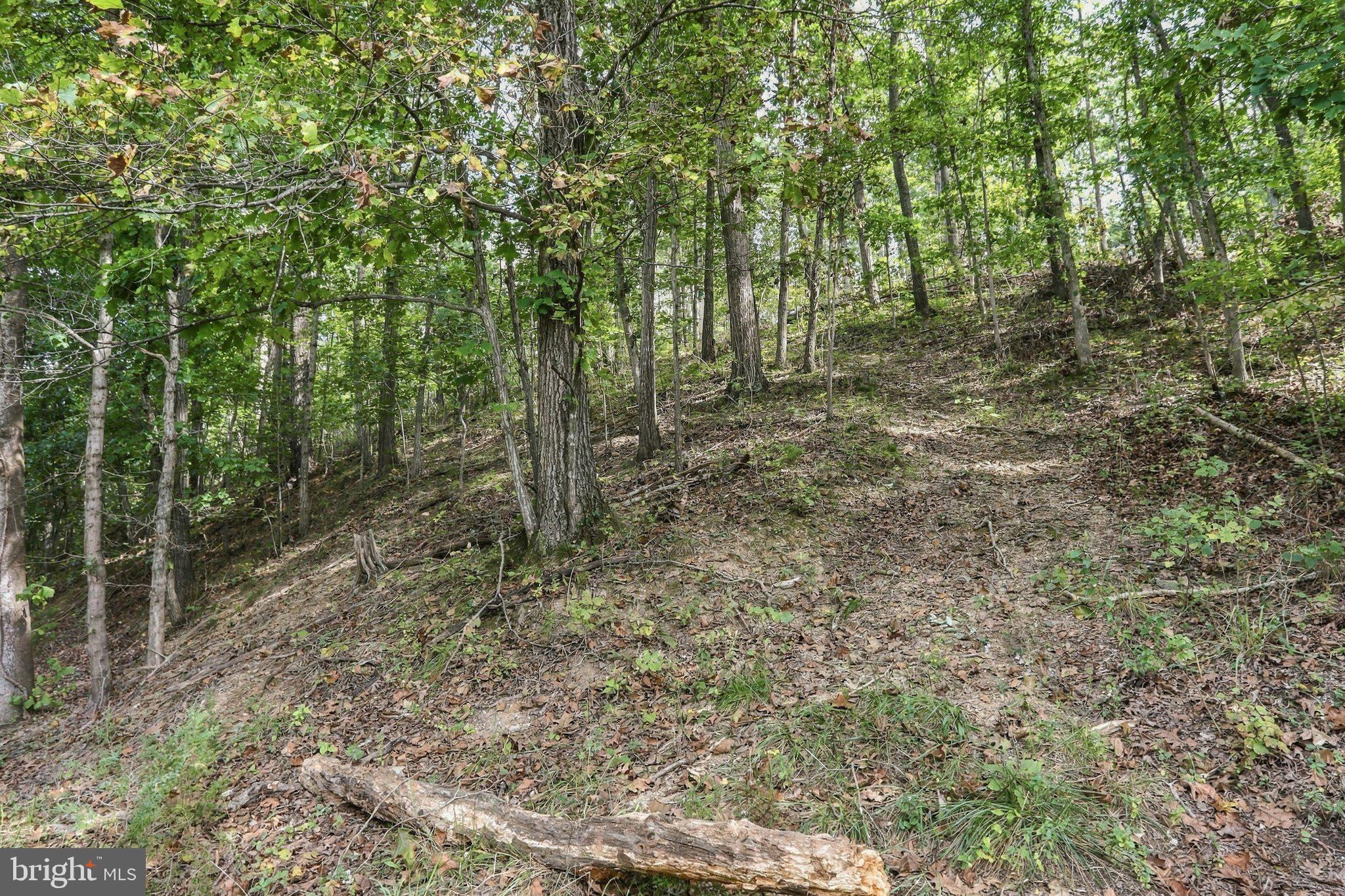 Lot 147C TEA BERRY ROAD