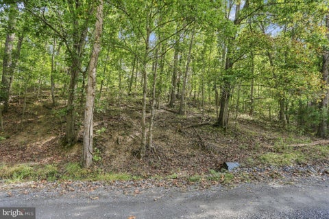 Vacant Land For Sale - LOT 147C Tea Berry Road<br/> MAURERTOWN, VA 22644