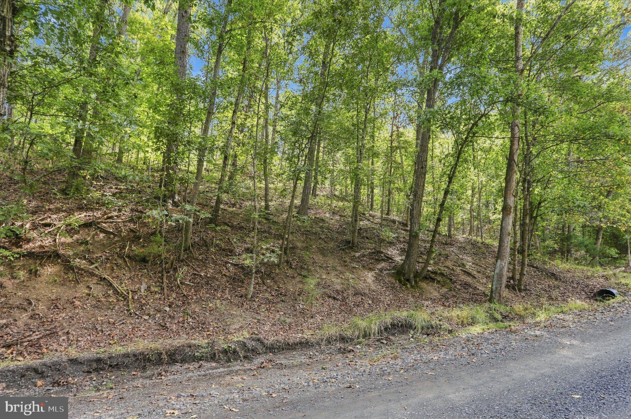 Lot 147C TEA BERRY ROAD