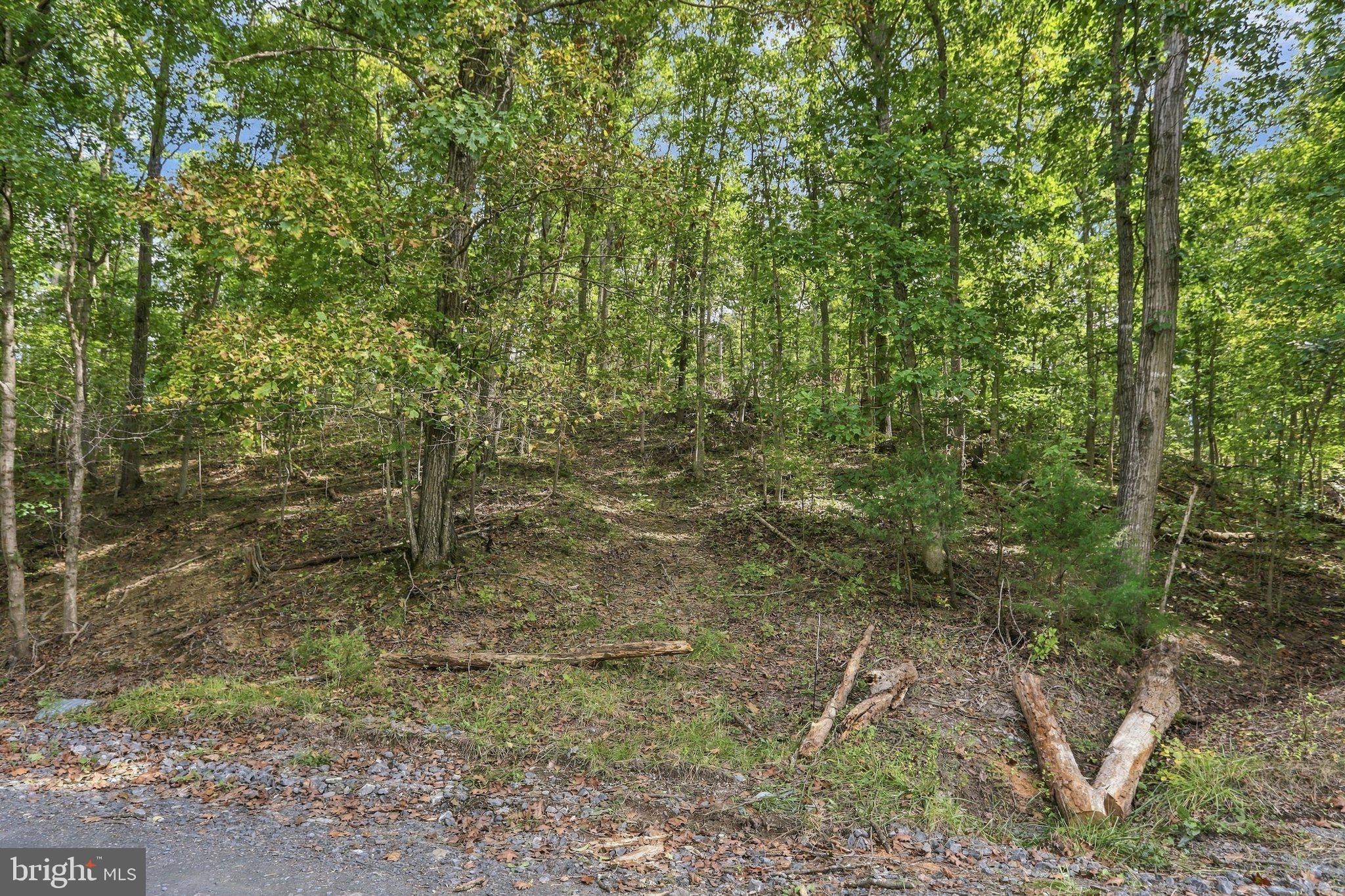Lot 147C TEA BERRY ROAD