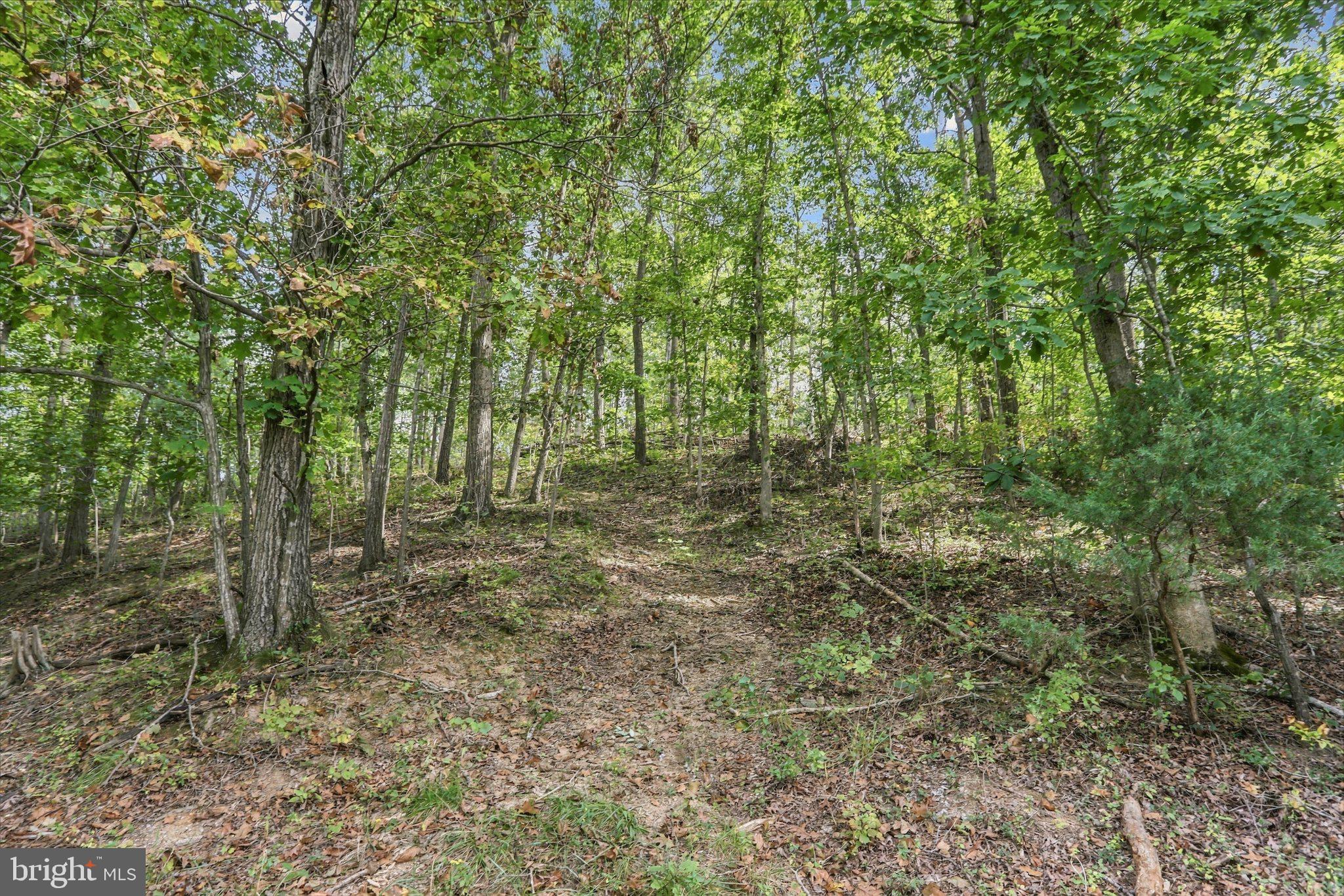 Lot 147C TEA BERRY ROAD