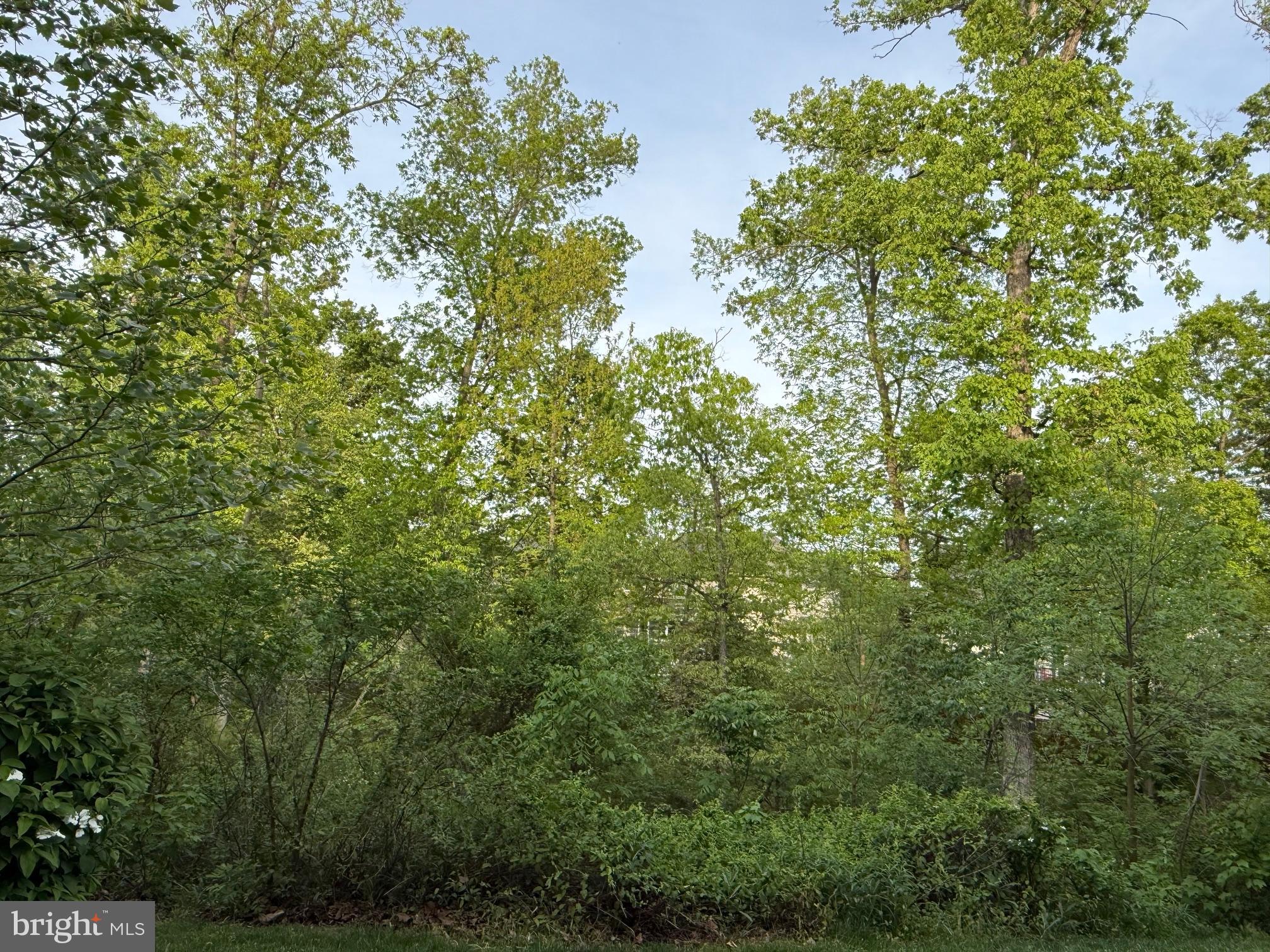 RIDGES AT LOUDOUN VALLEY - Residential