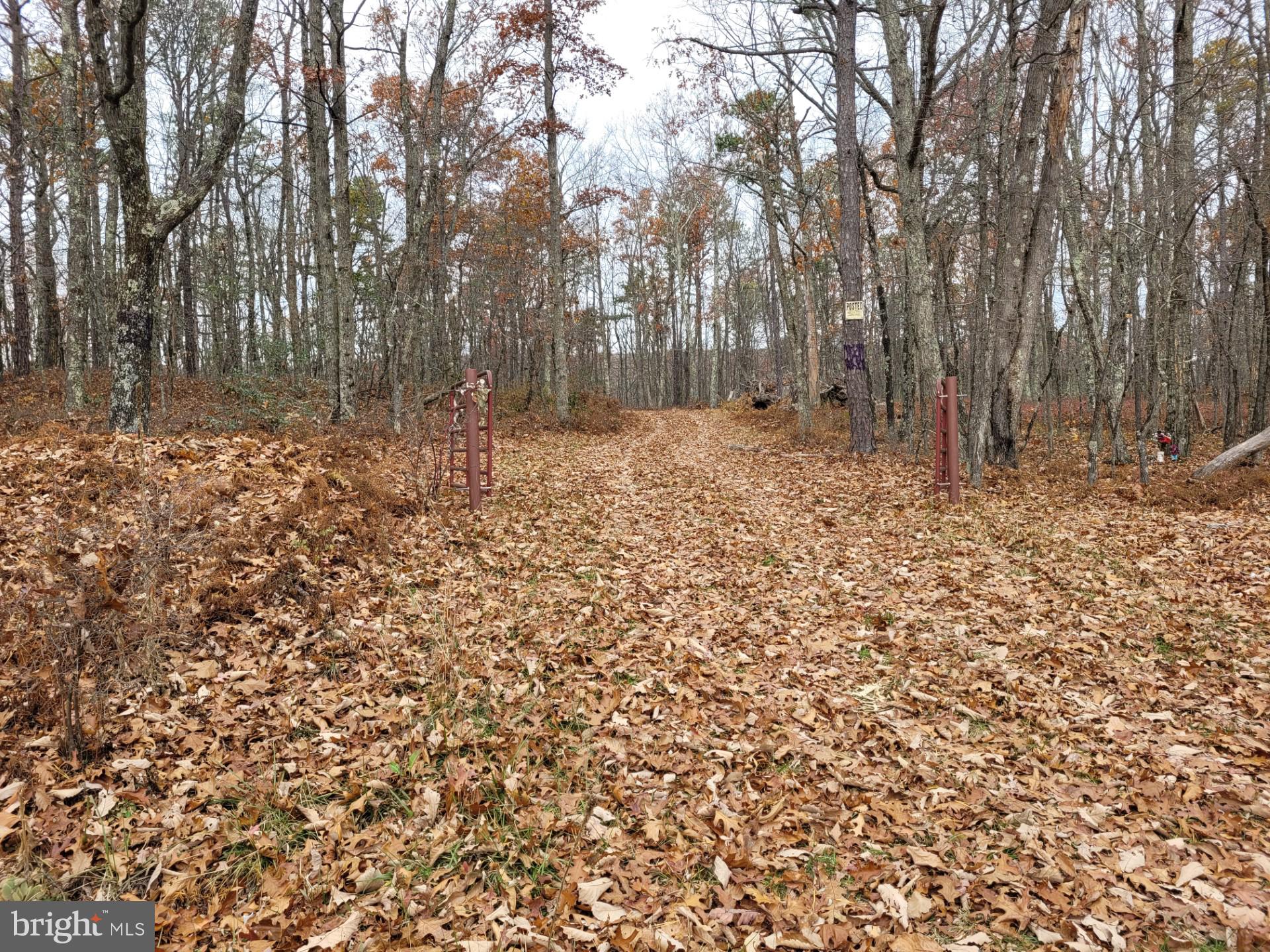 SPRING MOUNTAIN - Land