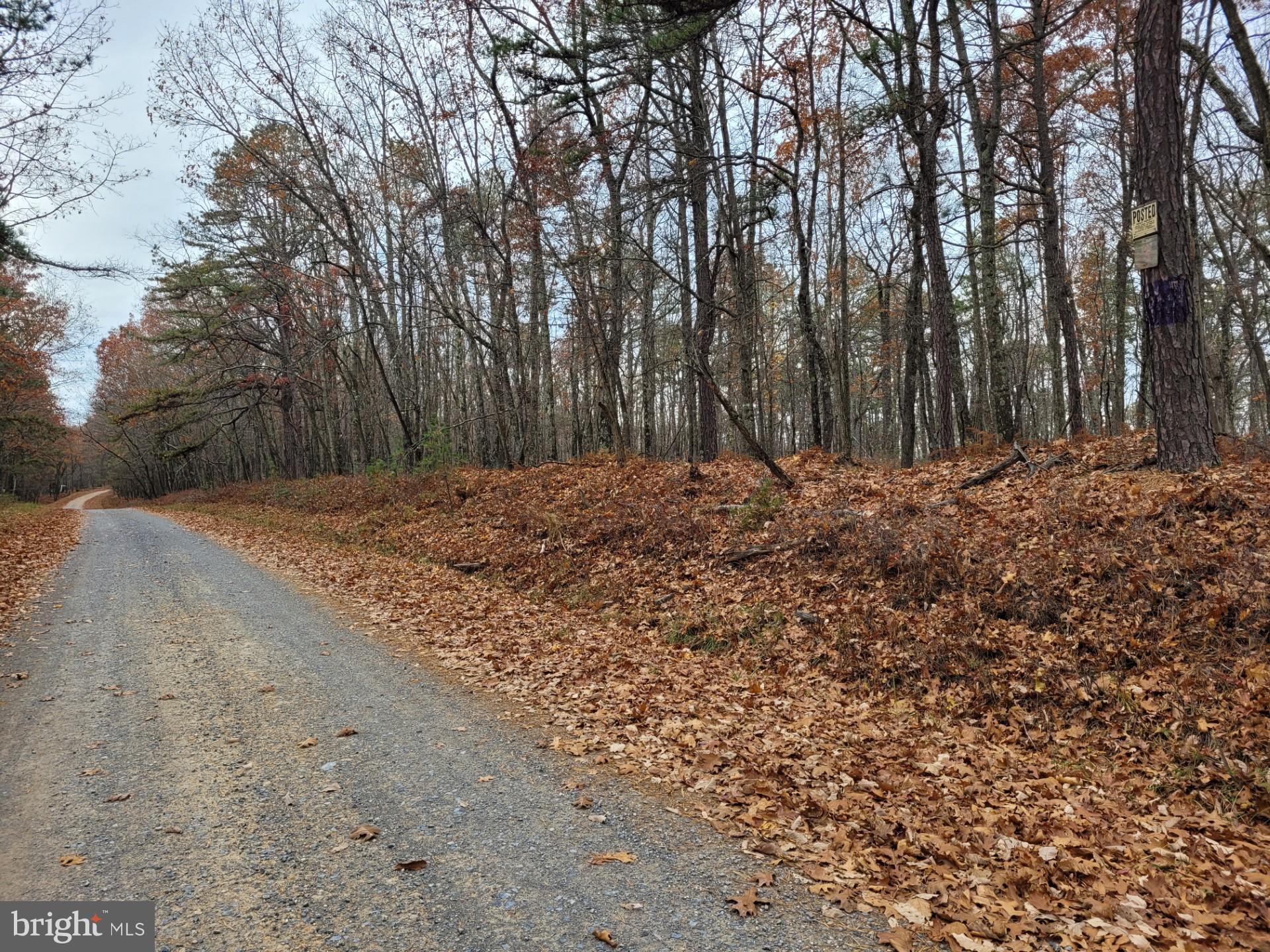 SPRING MOUNTAIN - Land