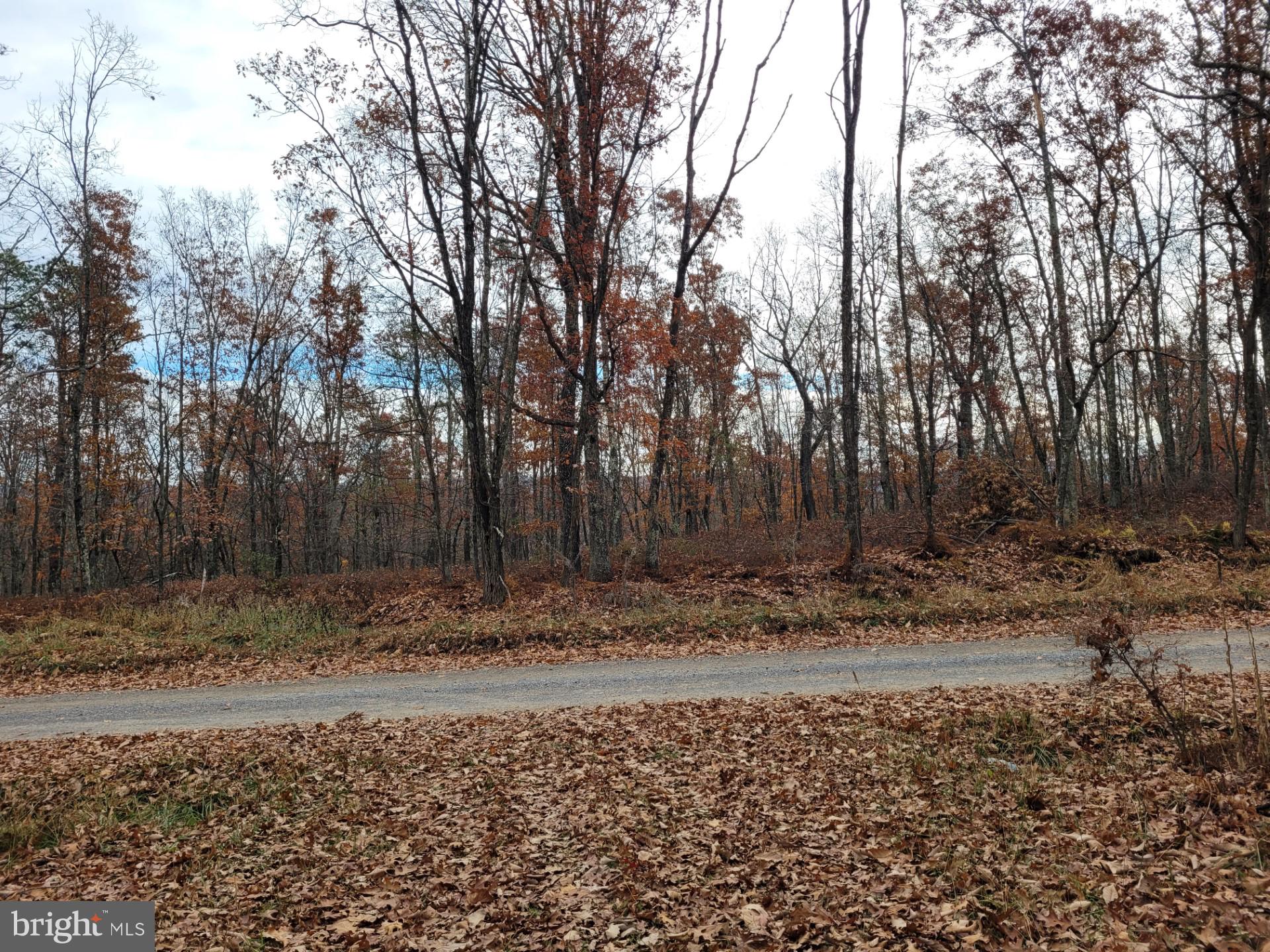 SPRING MOUNTAIN - Land