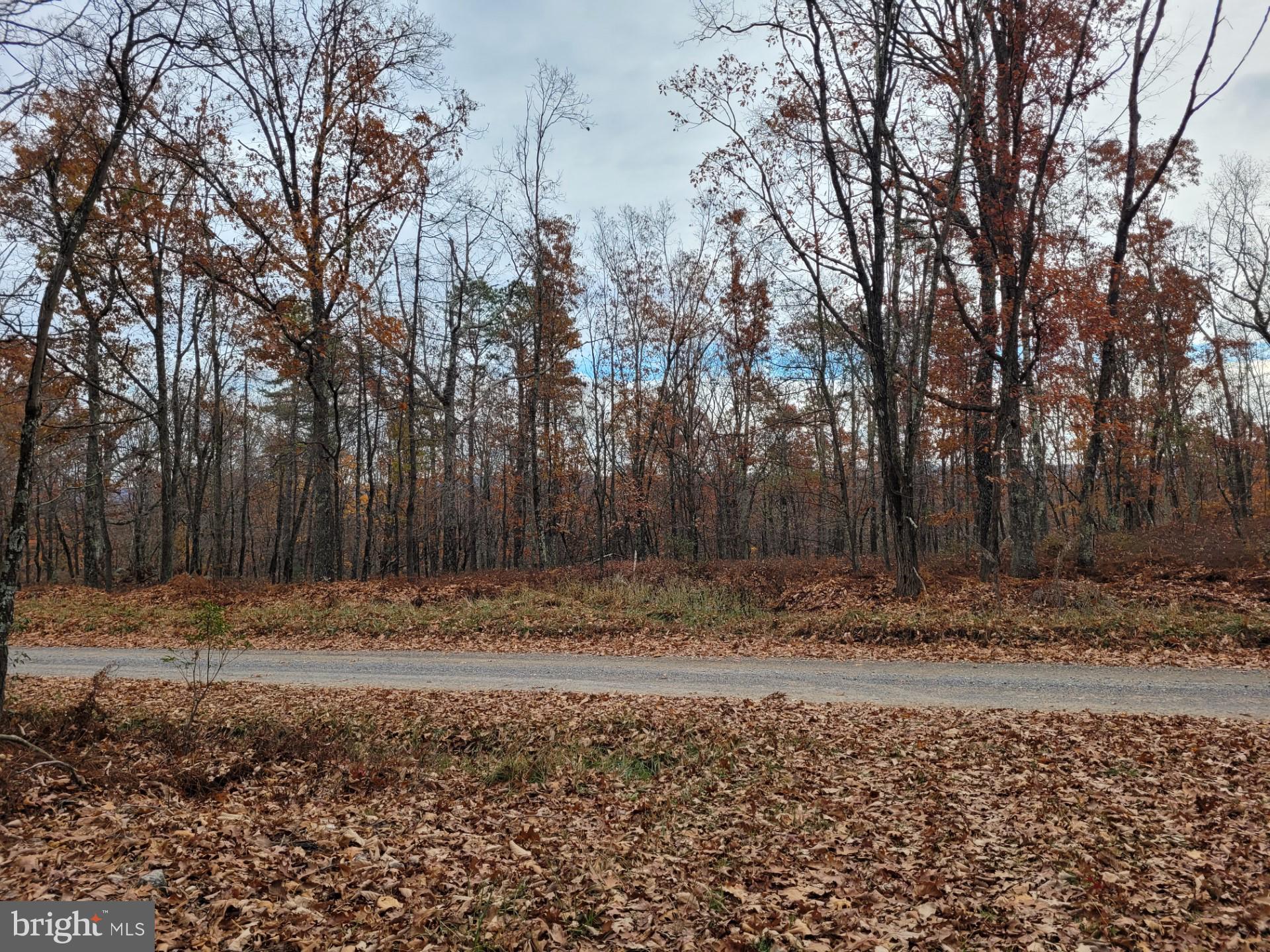 SPRING MOUNTAIN - Land