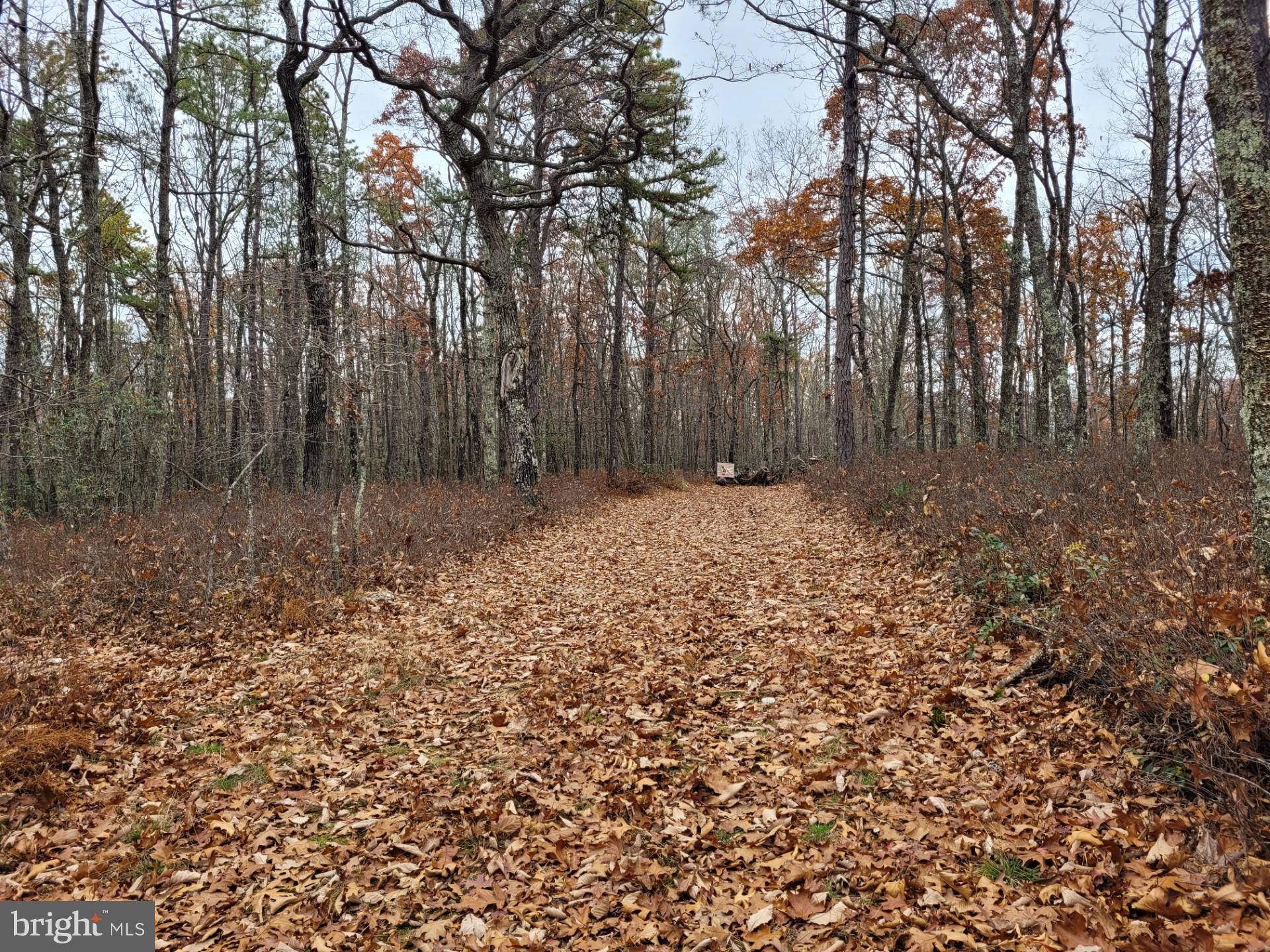 SPRING MOUNTAIN - Land