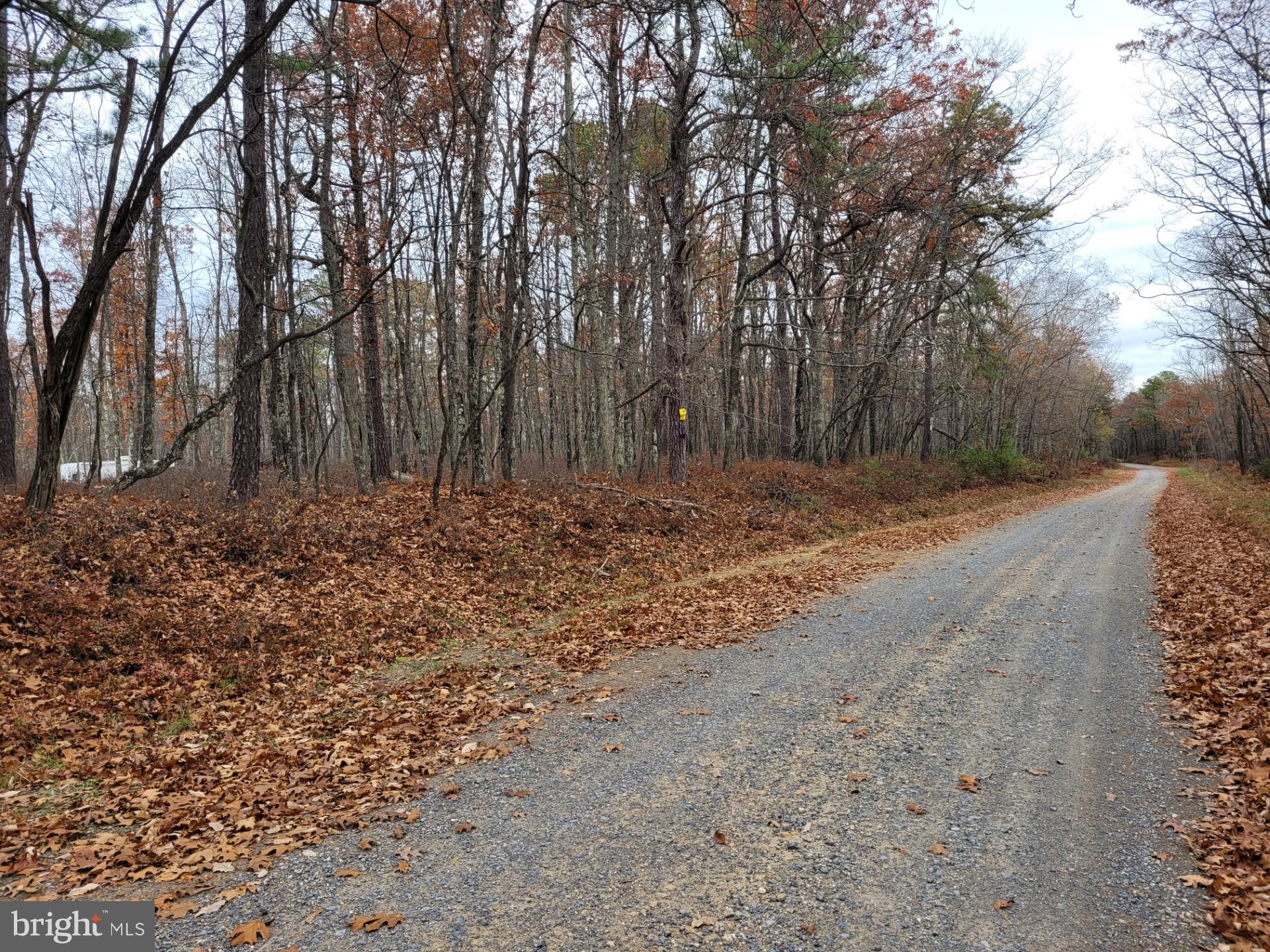 SPRING MOUNTAIN - Land