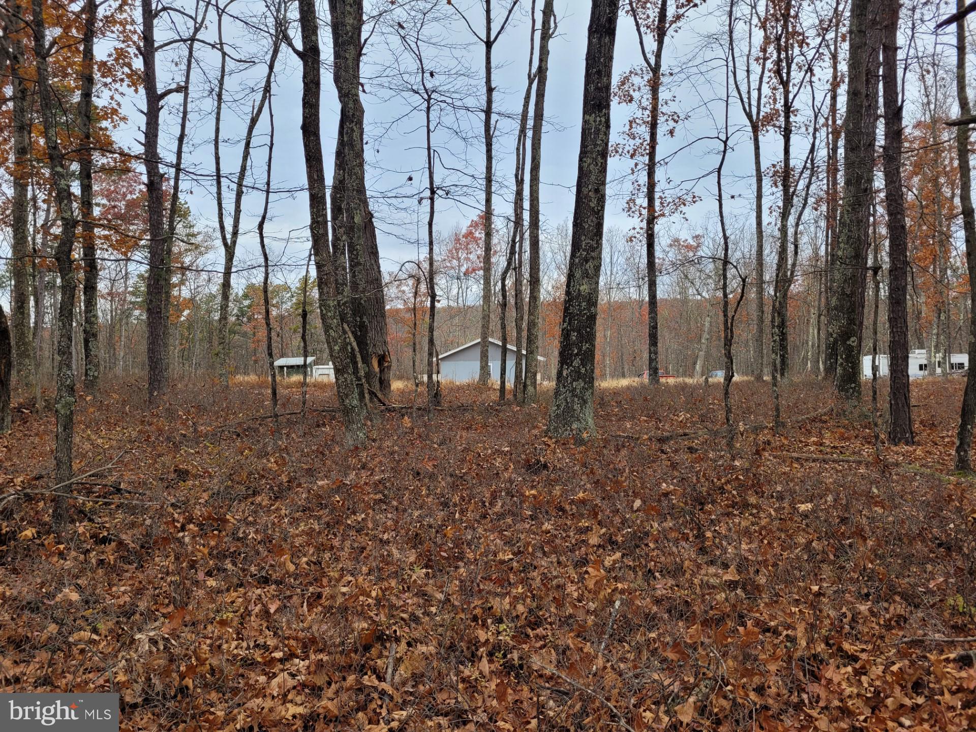 SPRING MOUNTAIN - Land