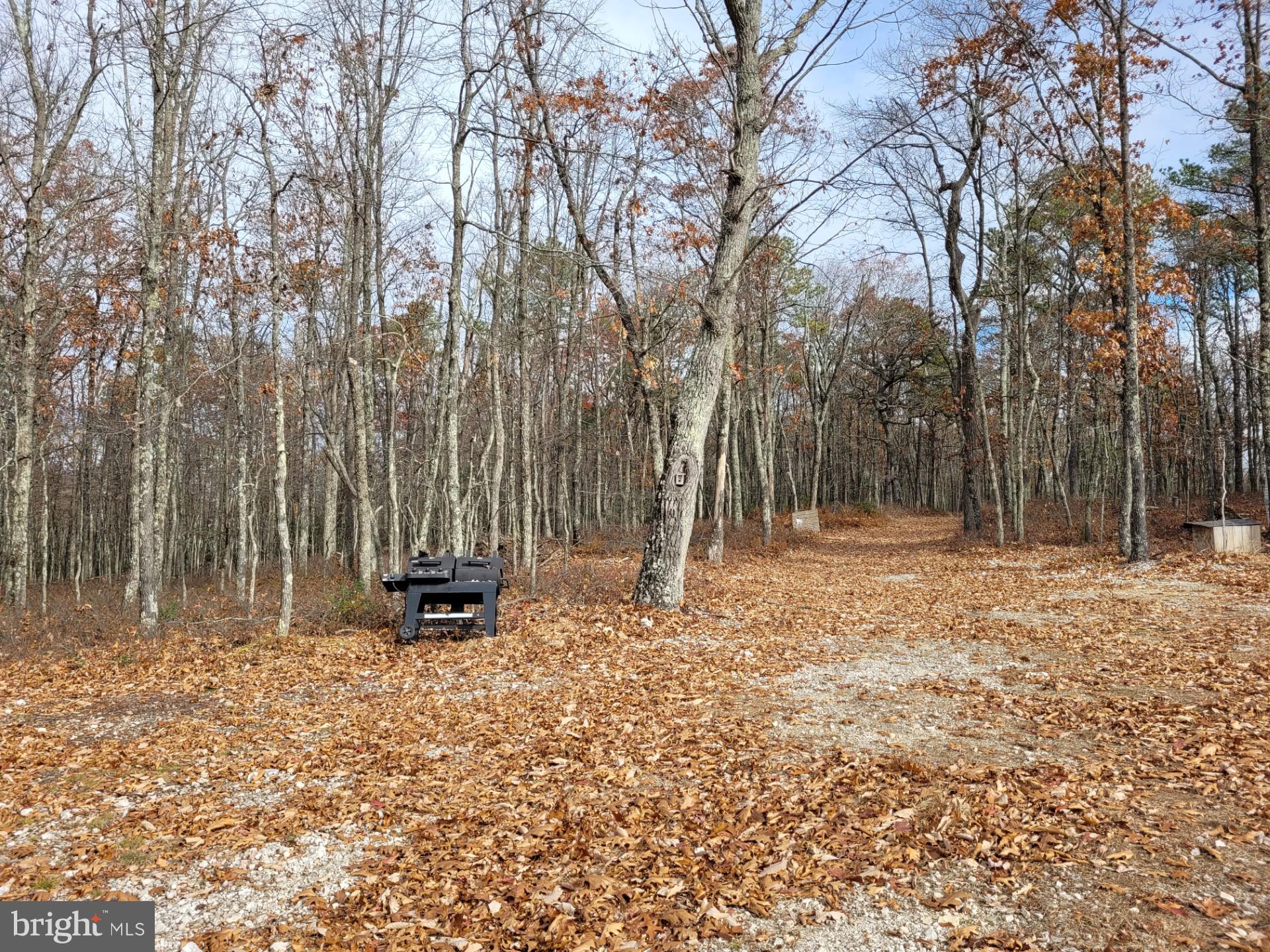 SPRING MOUNTAIN - Land