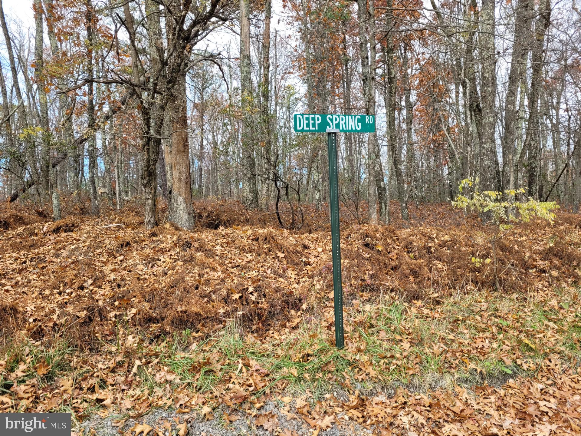 SPRING MOUNTAIN - Land