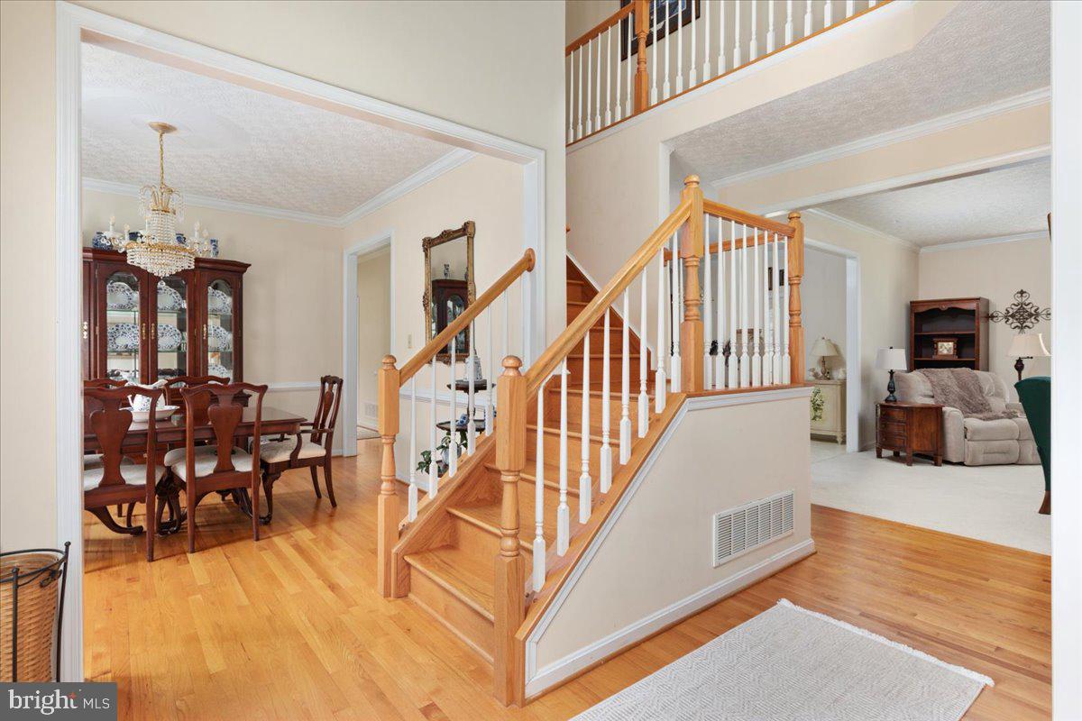 155 BUNCHBERRY RIDGE COURT