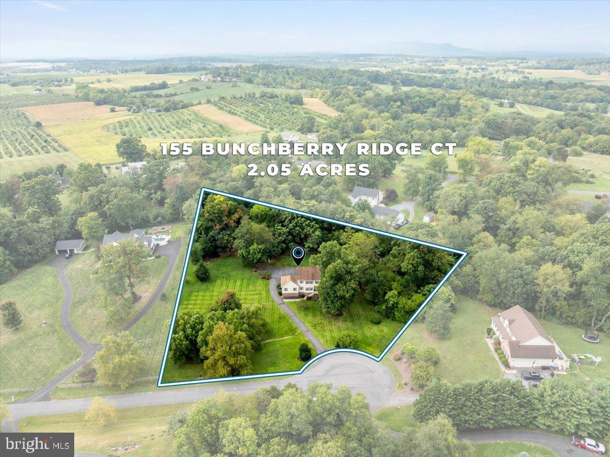 155 BUNCHBERRY RIDGE COURT