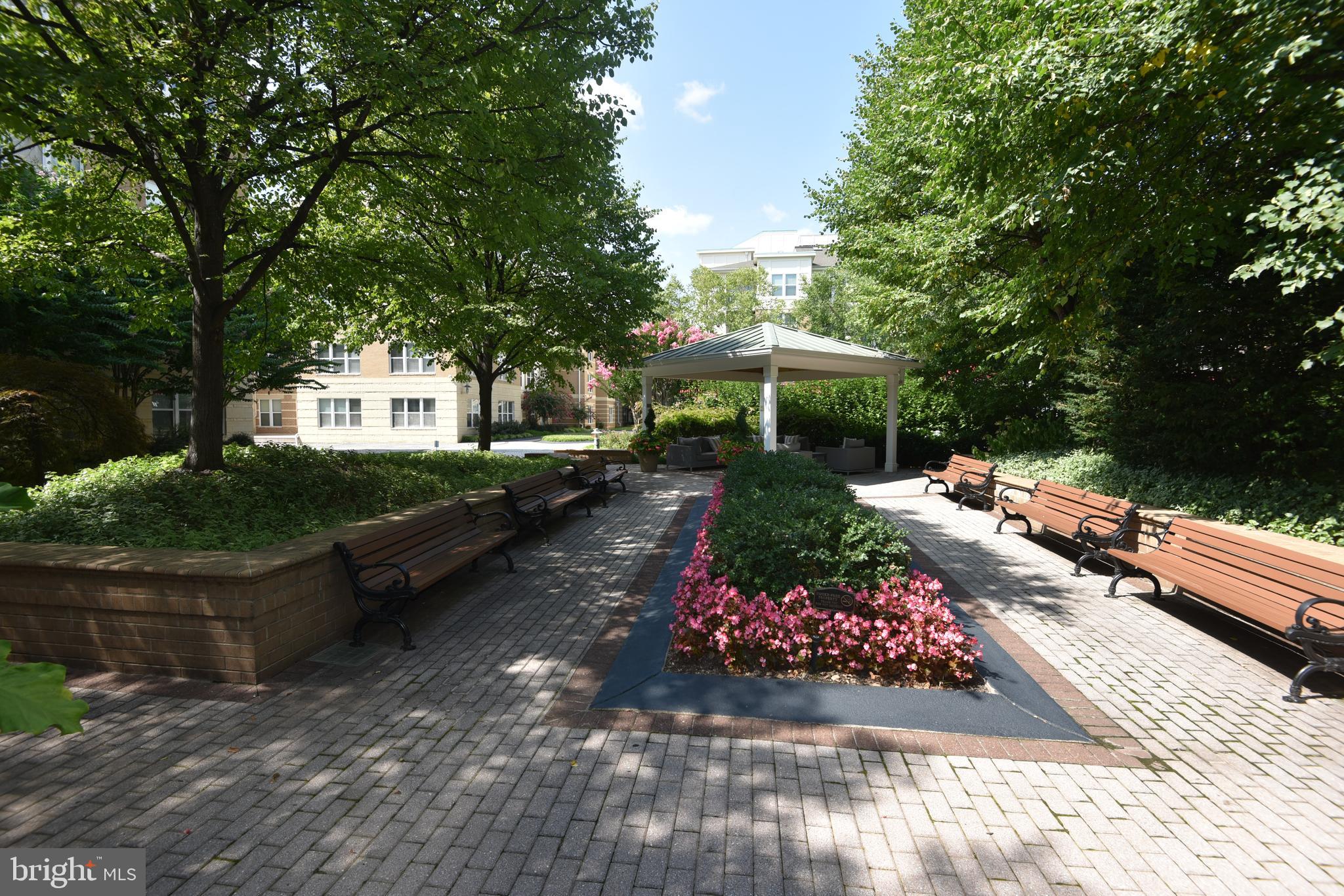 SAVOY AT RESTON TOWN CENTER - Residential